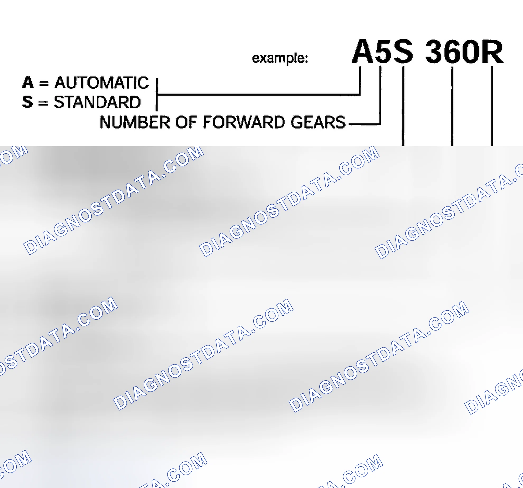 Scheme 6