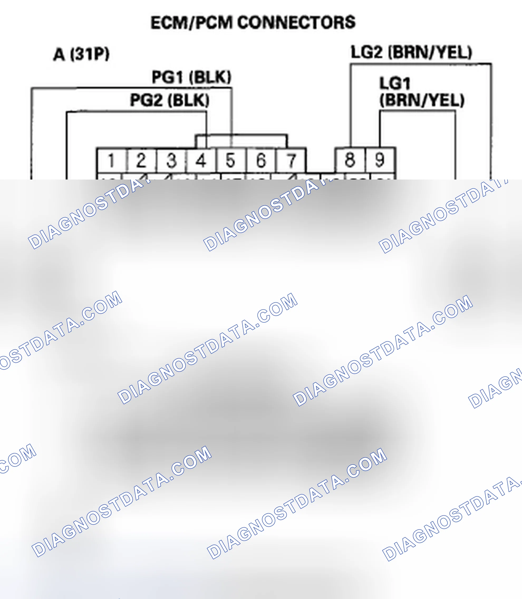Scheme 458