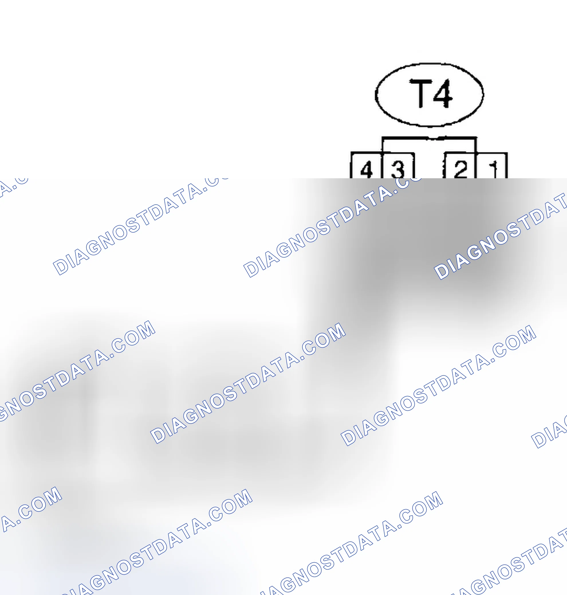 Scheme 561: Diagnostic Procedure