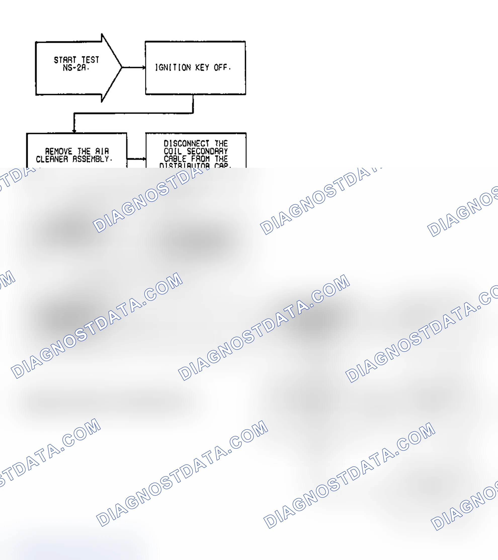 Scheme 12: Test NS-2A: (1 of 2) Fuel Spray & Fault Messages With DRB-II