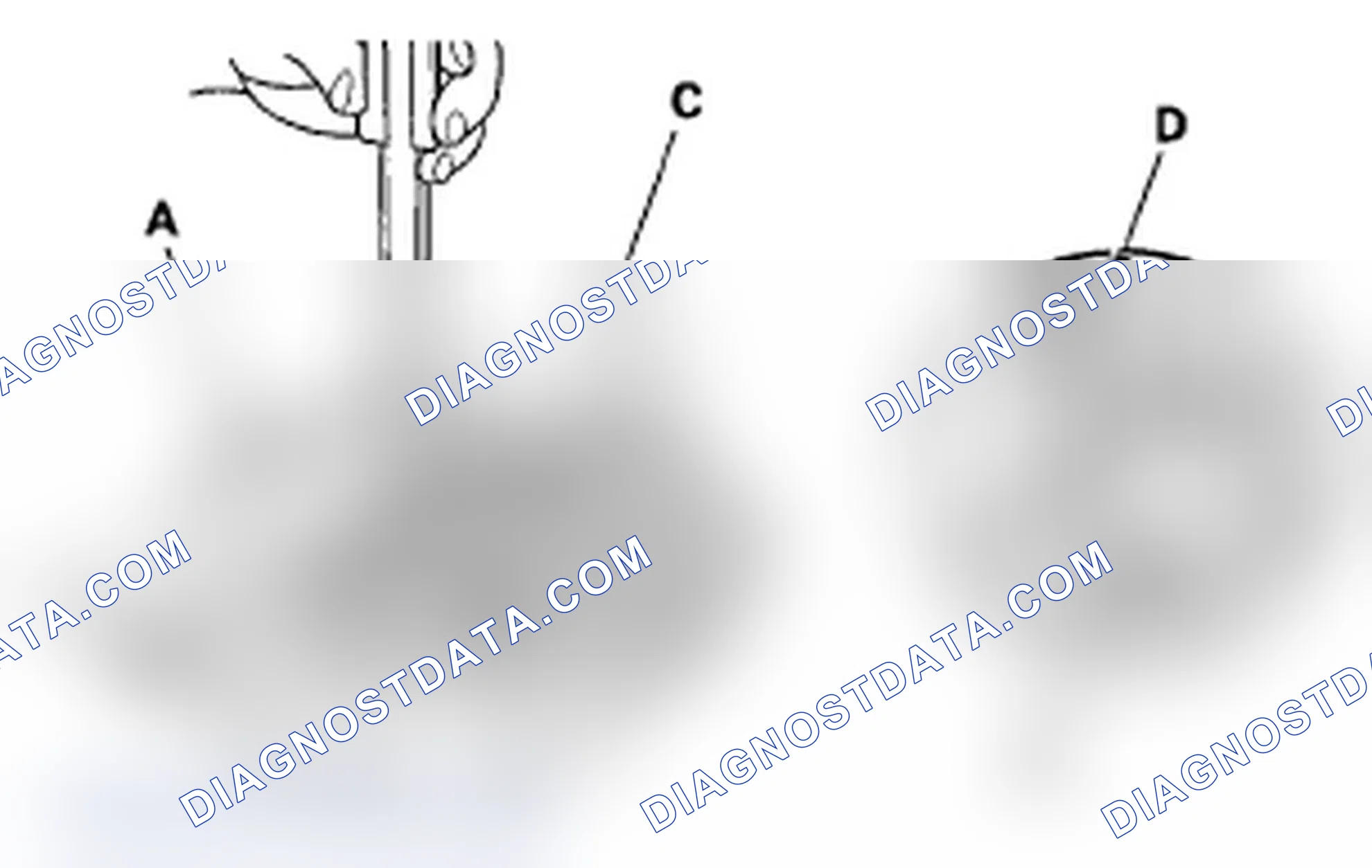 Scheme 156