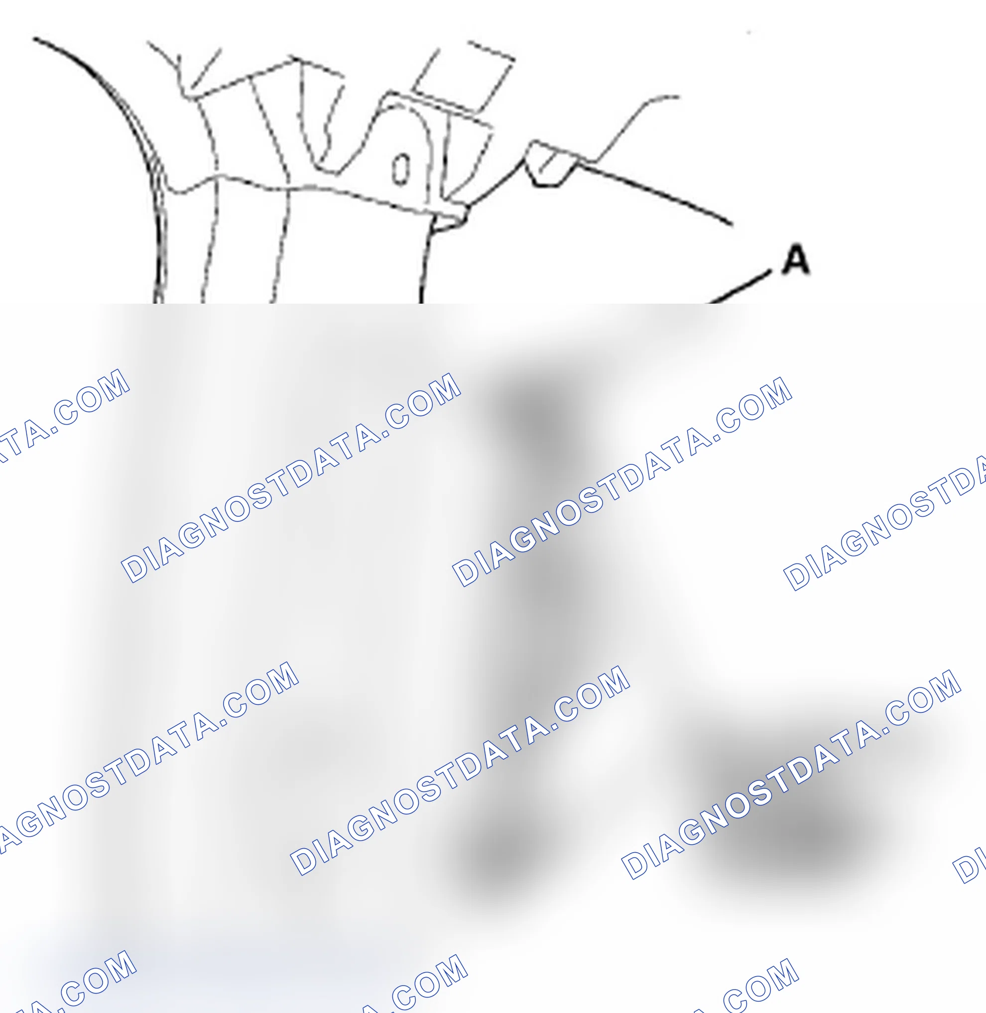 Scheme 6