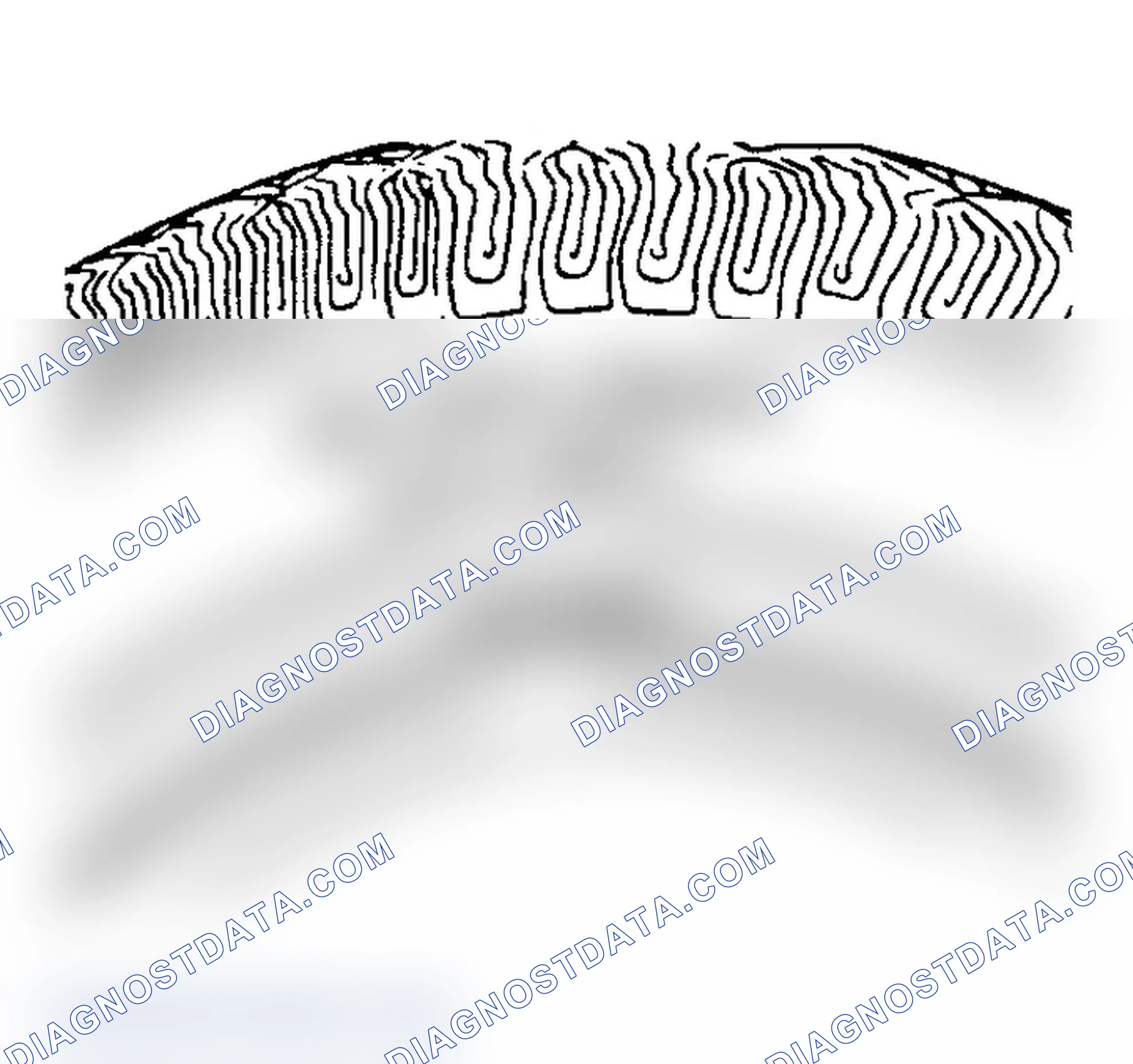 Scheme 9: All Seasons Tires Description