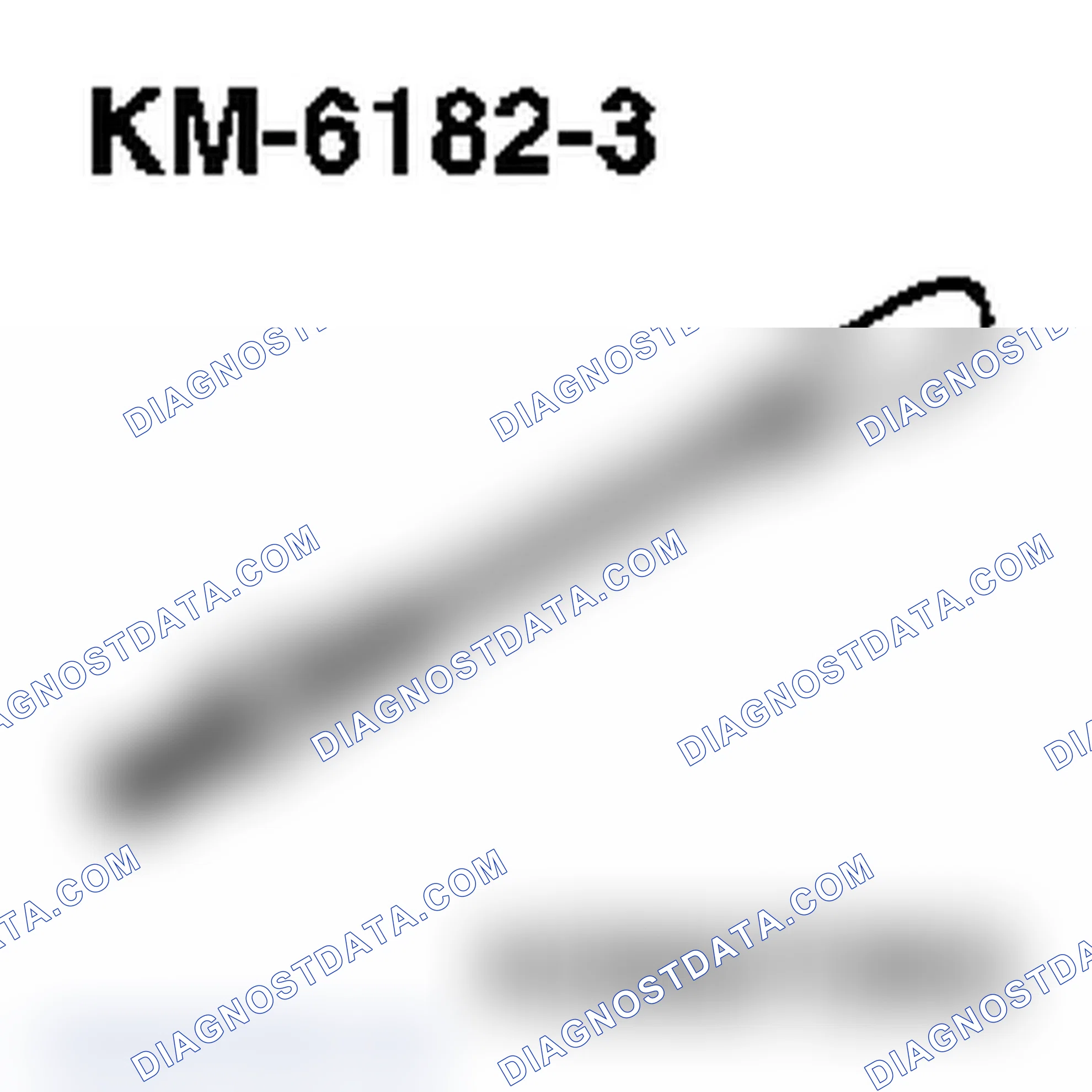 Special Service Tools