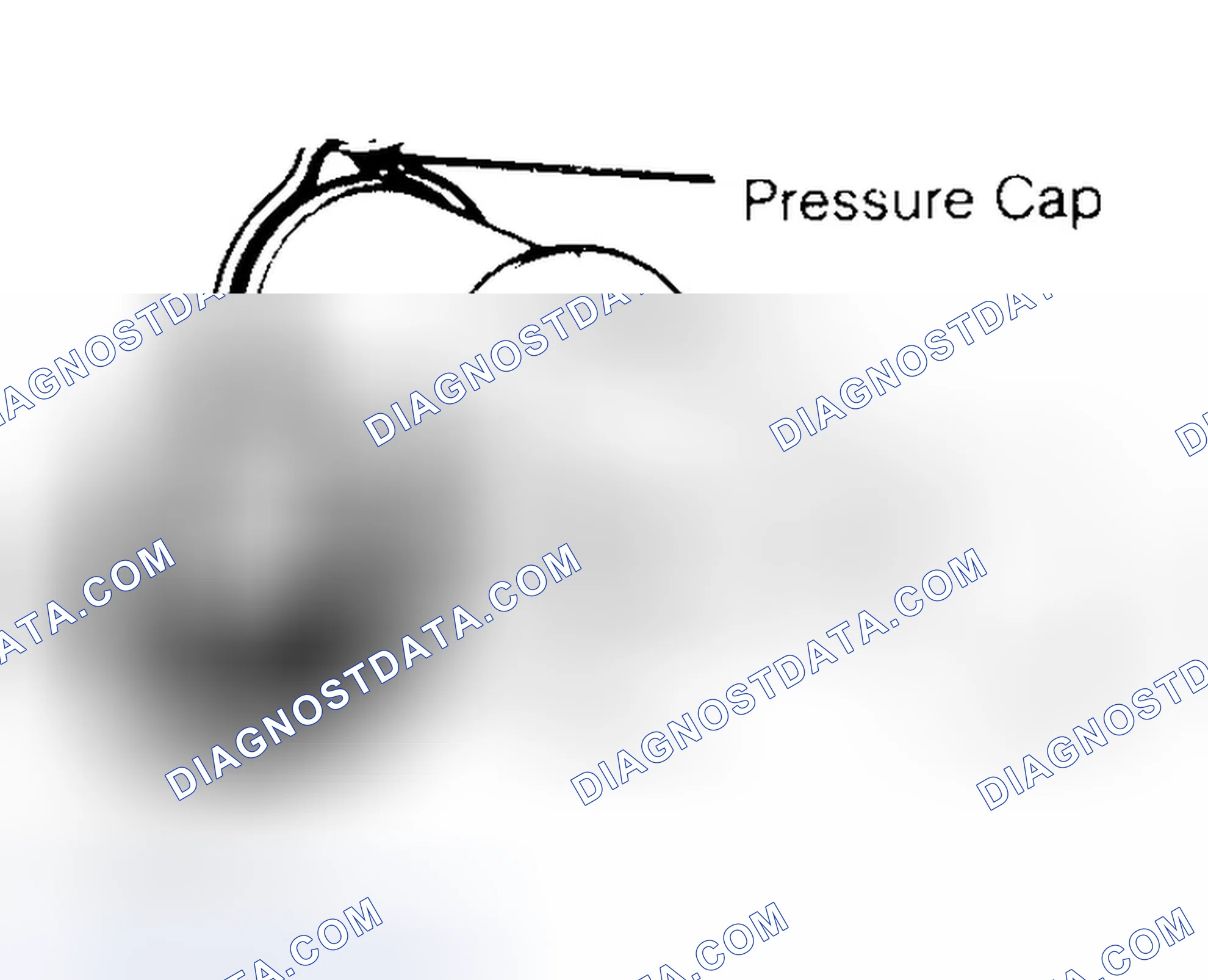 Scheme 2: Pressure Testing Radiator Cap