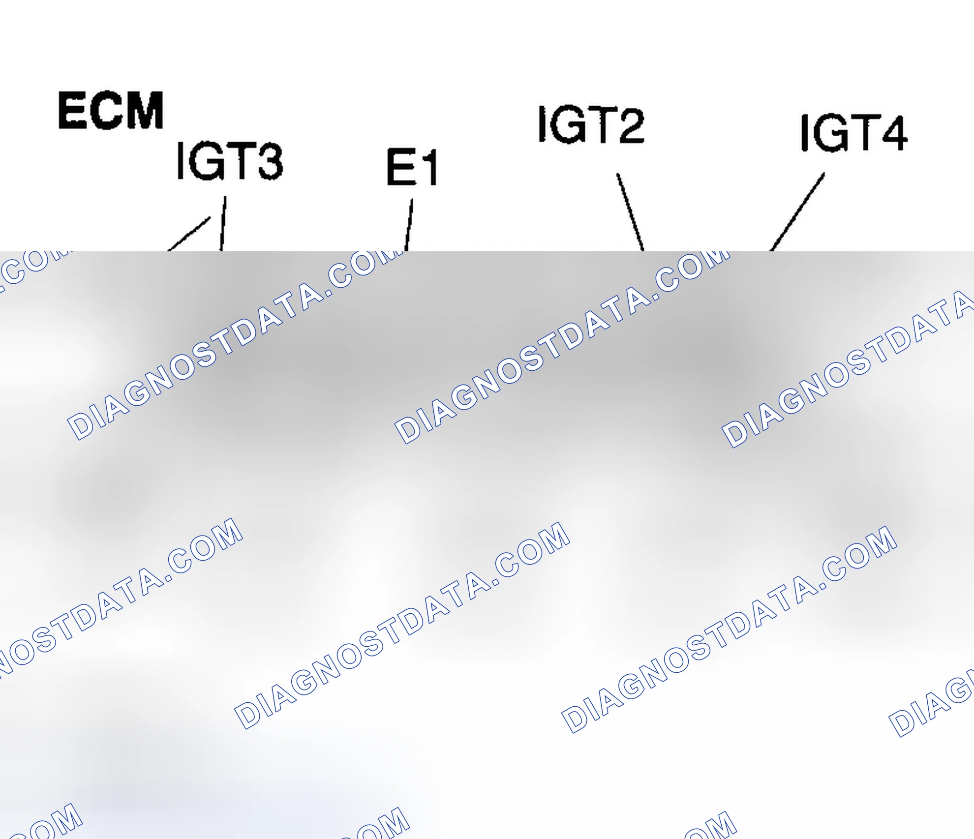 Scheme 338