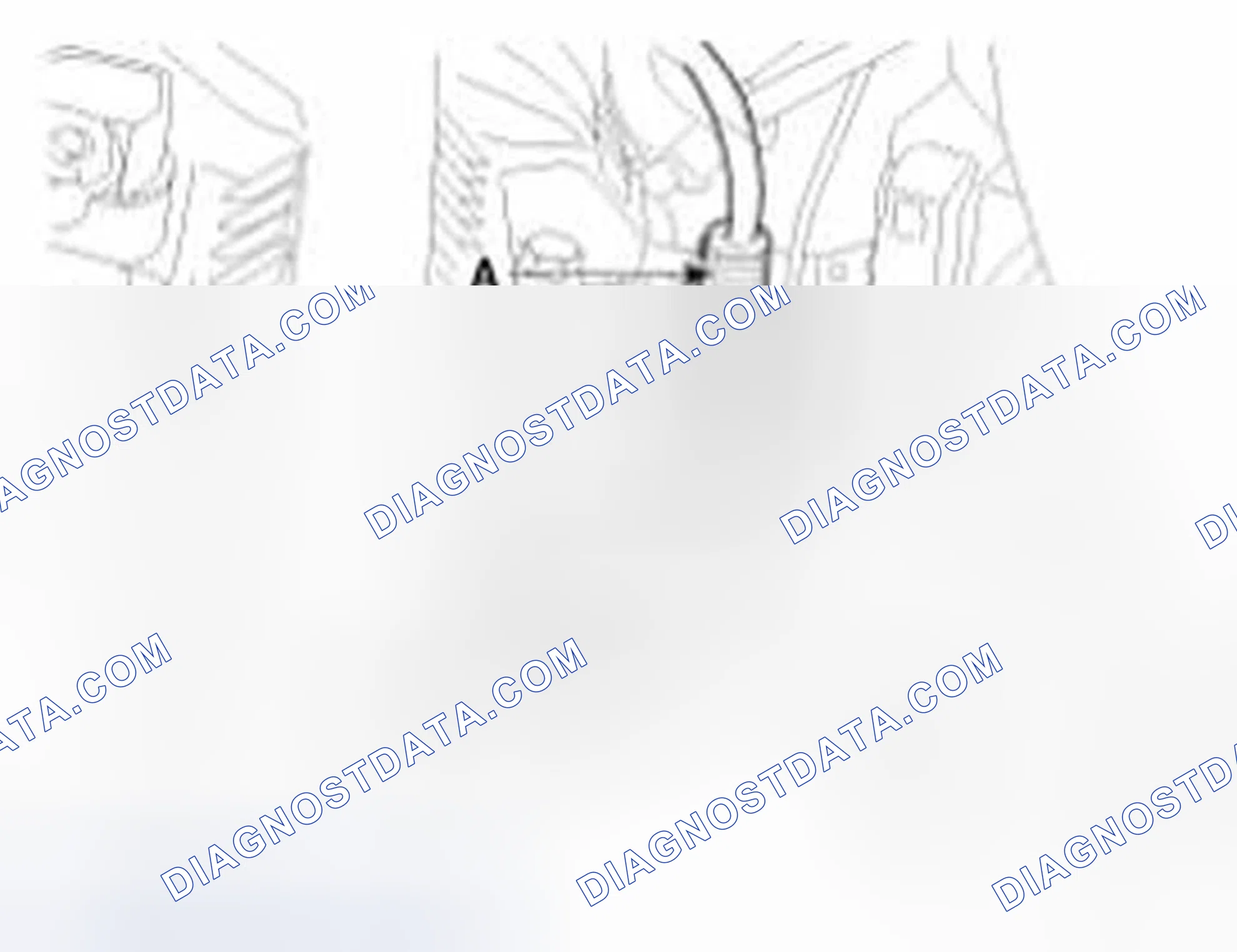 Scheme 239: (Bank 1 / Exhaust)