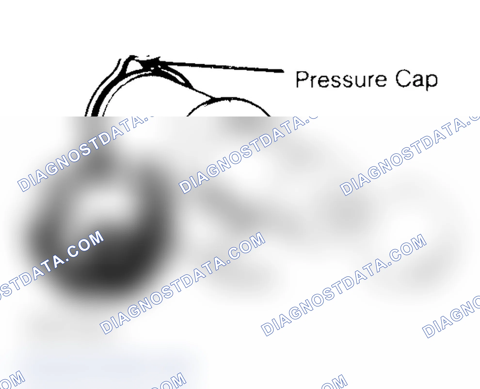 Scheme 2: Pressure Testing Radiator Cap