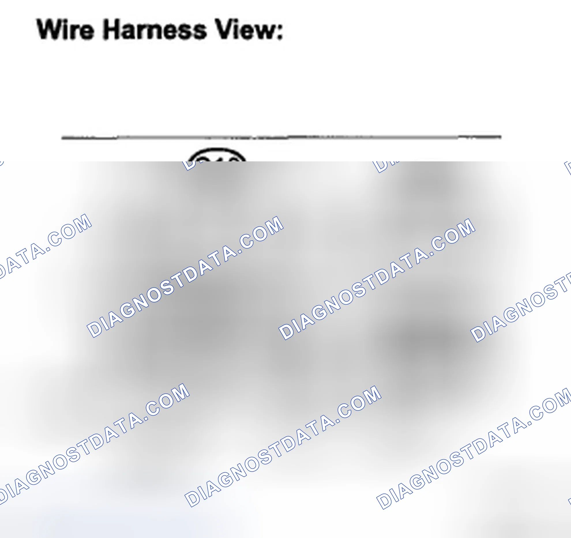 Scheme 48: INSPECTION PROCEDURE