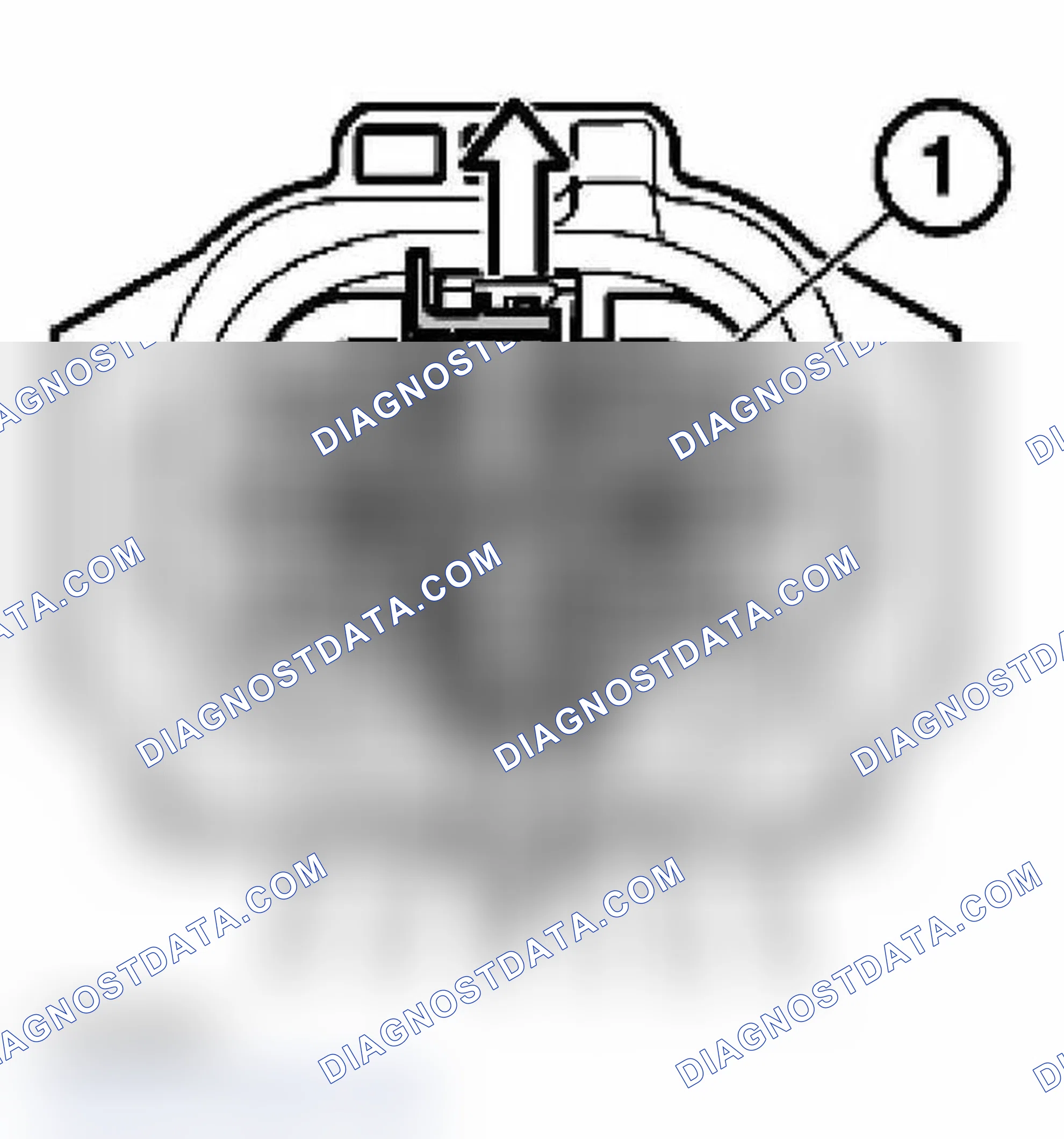 Scheme 217