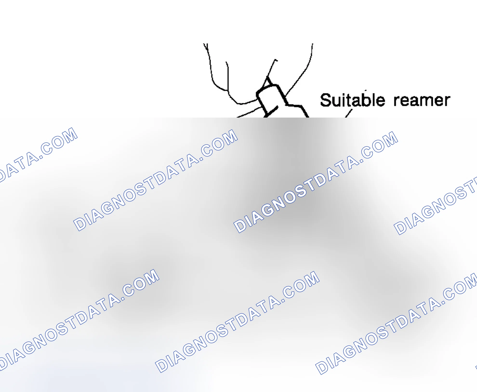 Scheme 171
