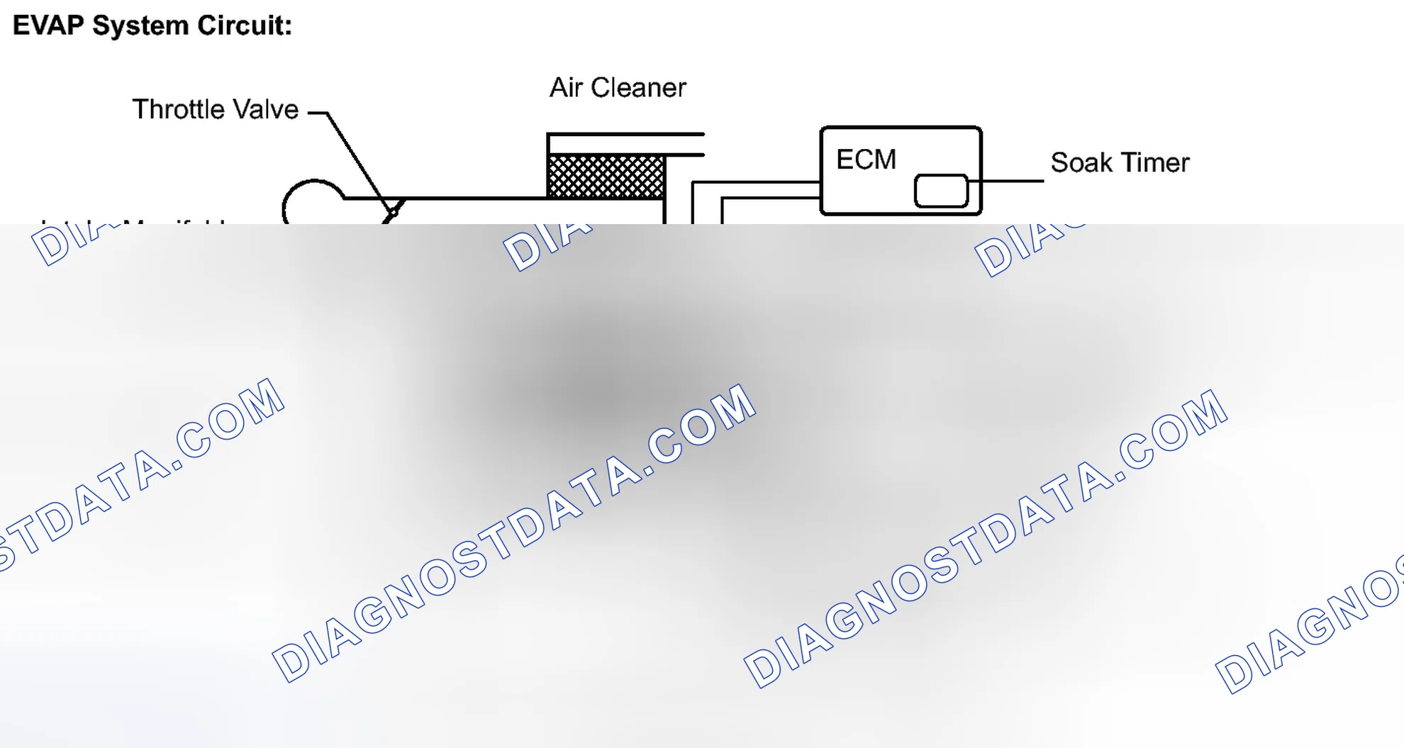 Scheme 515