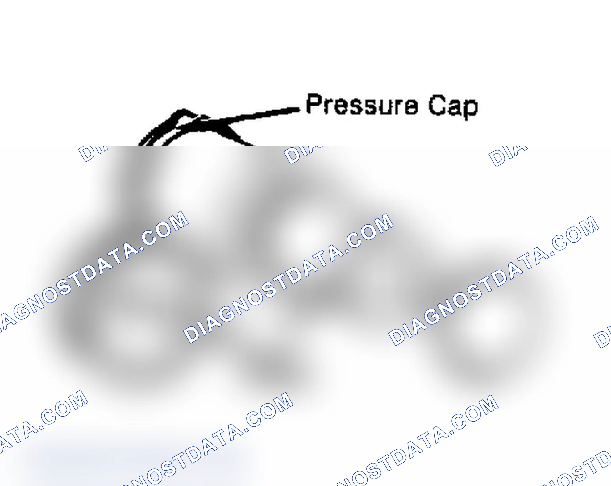 Scheme 4: Testing Radiator Pressure Cap Wet cap gasket before testing.
