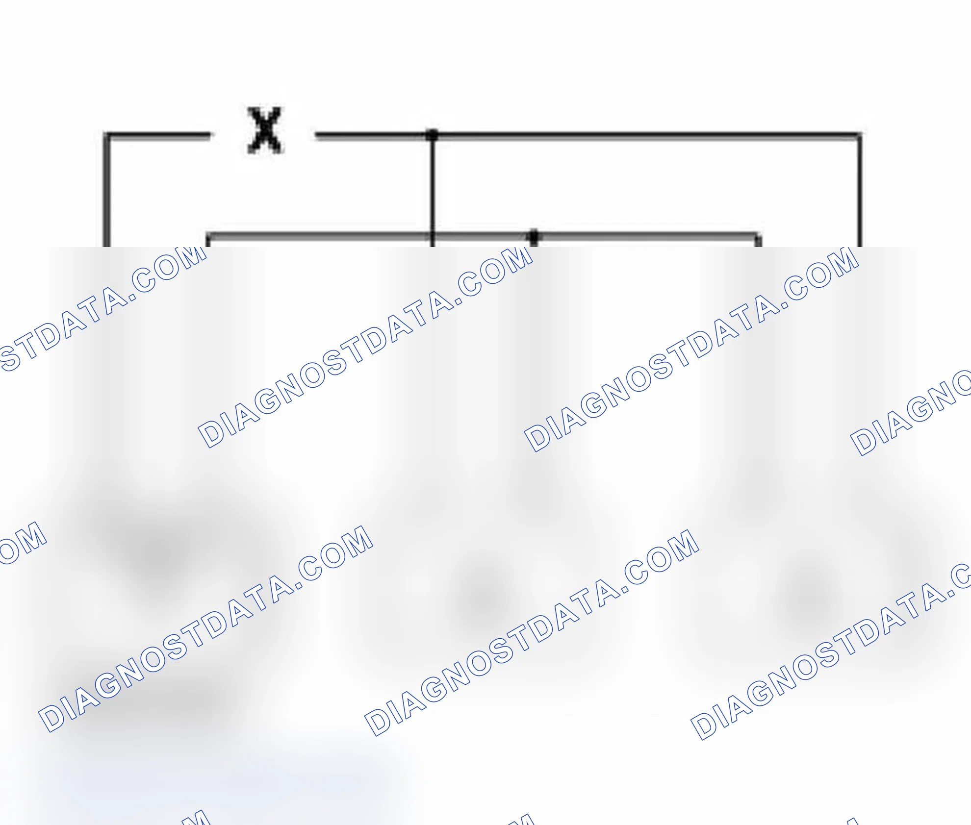 Scheme 517
