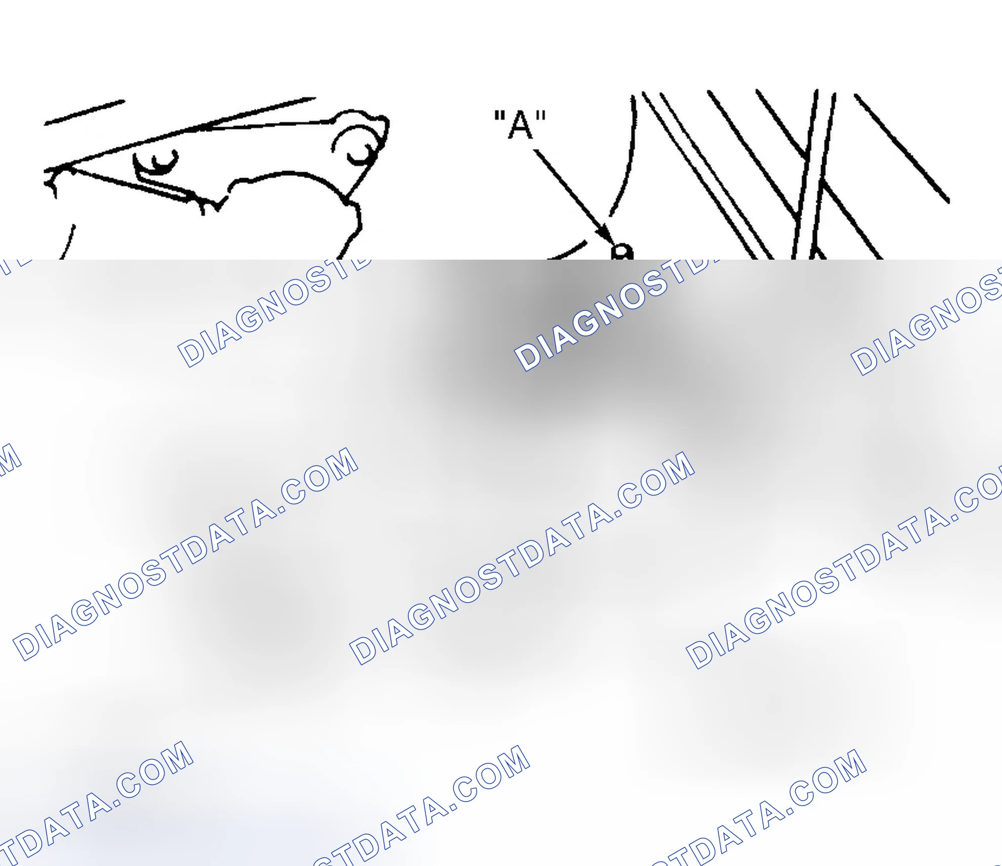 Scheme 1: CAMBER & CASTER ADJUSTMENTS