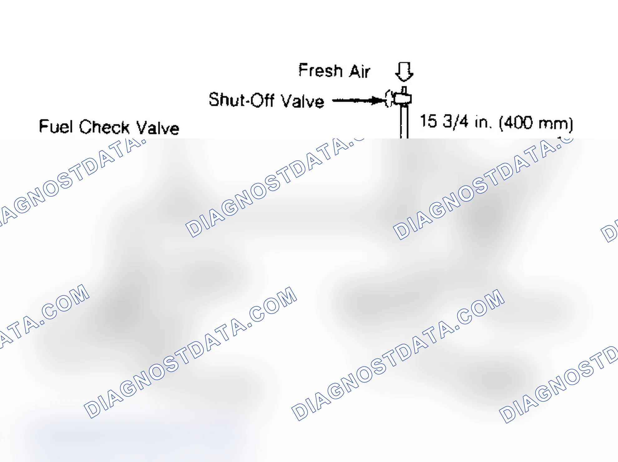 Scheme 5
