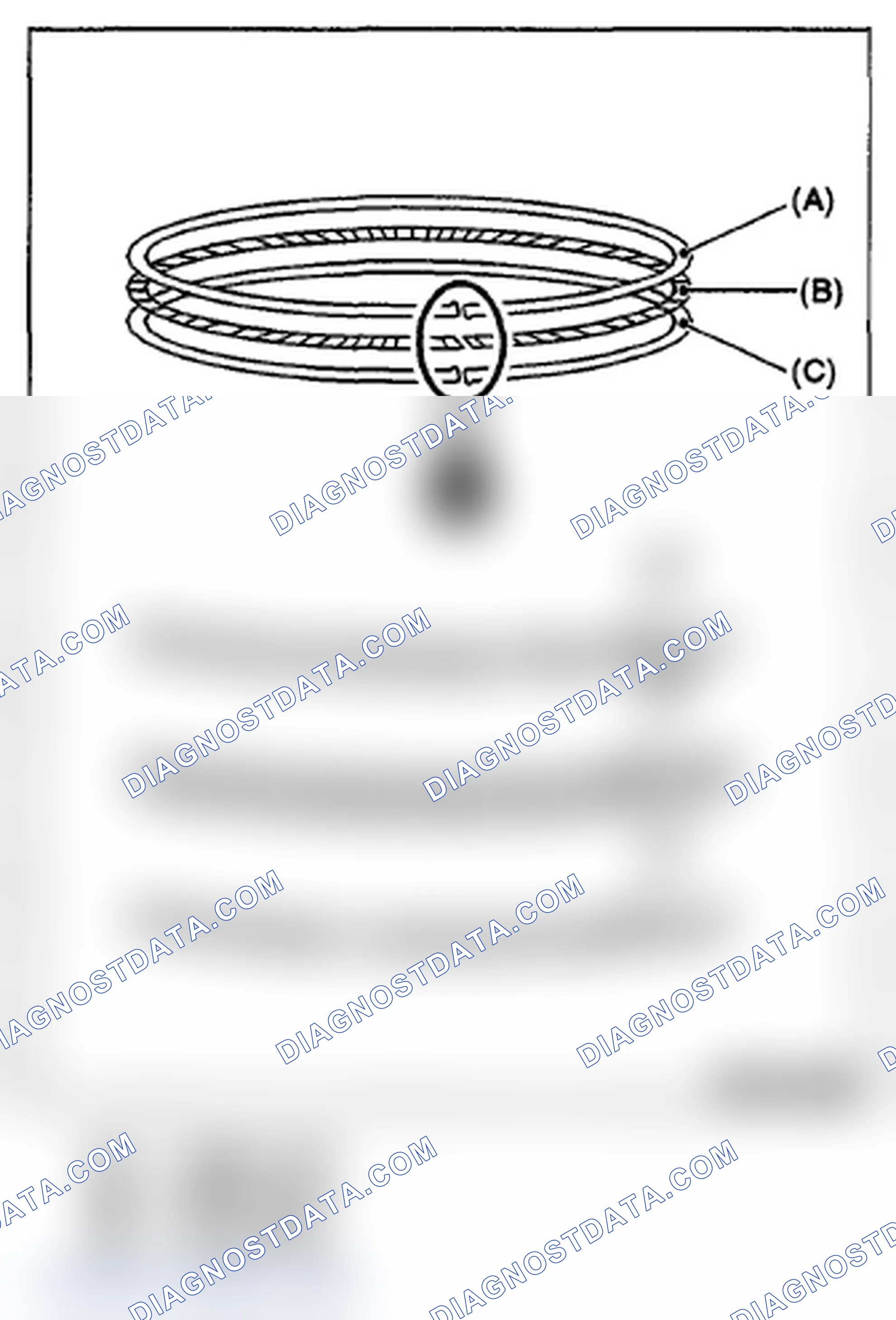 Scheme 773: PISTON RING