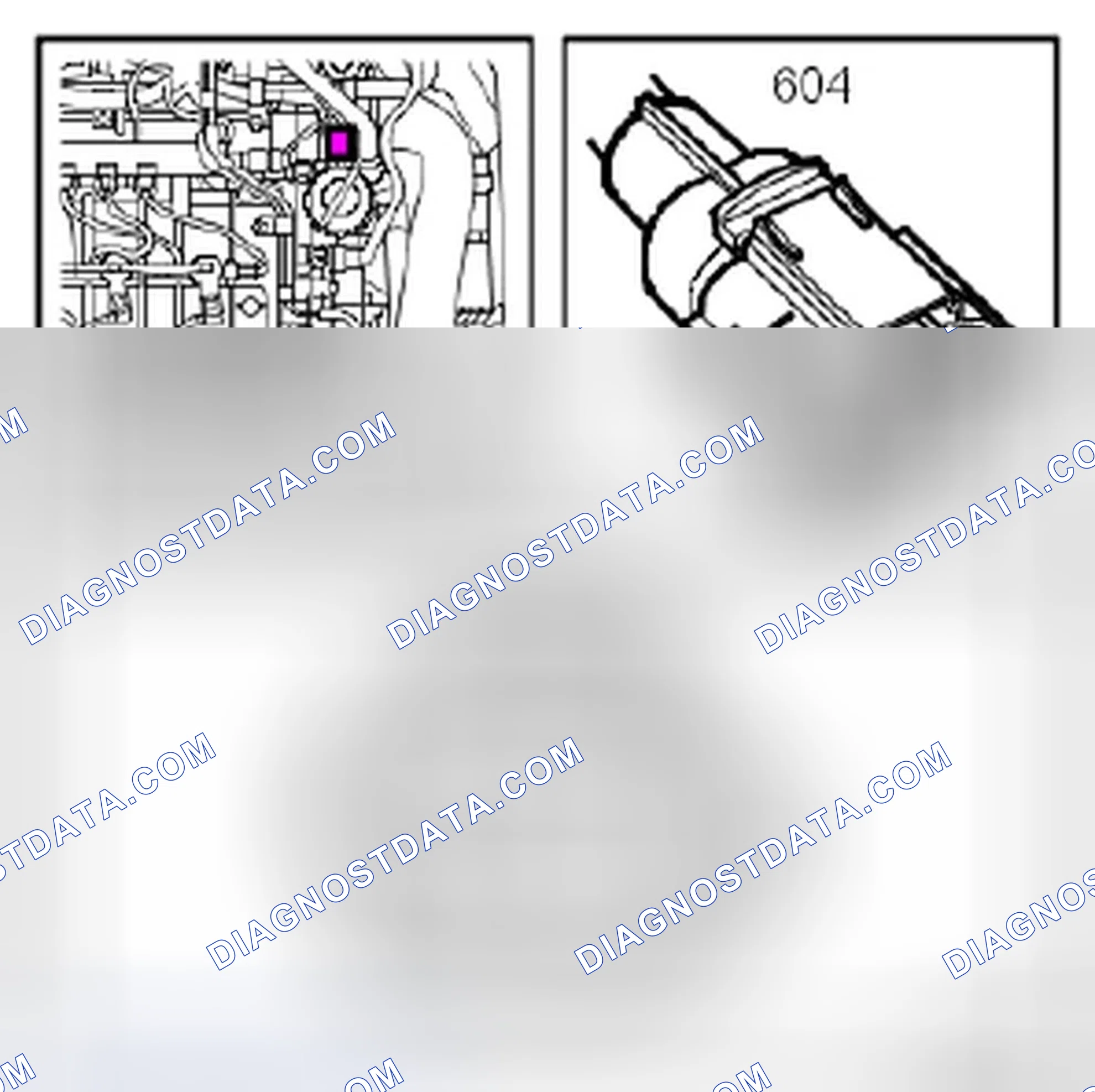 Scheme 888: Z19DTH