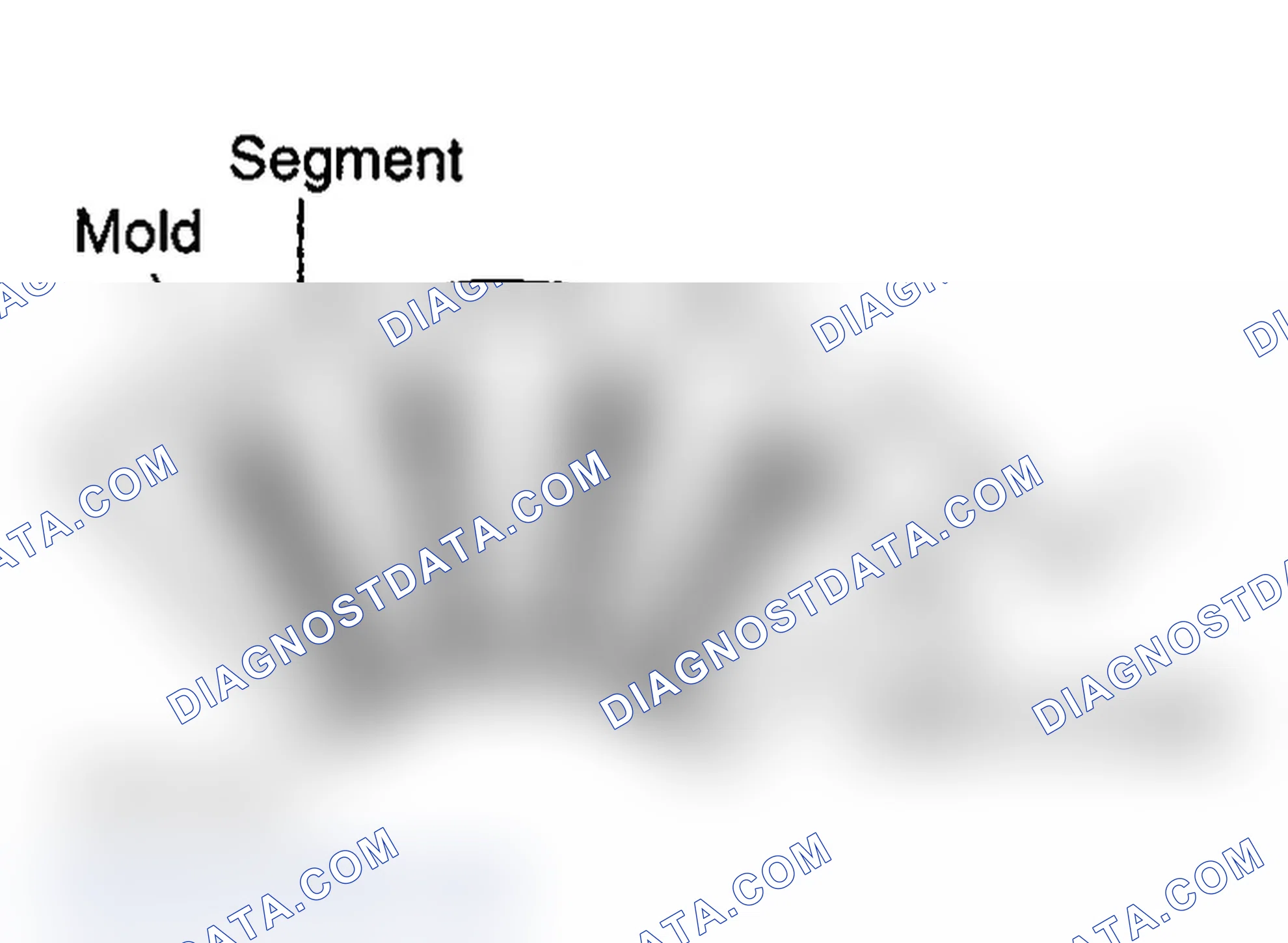 Scheme 5