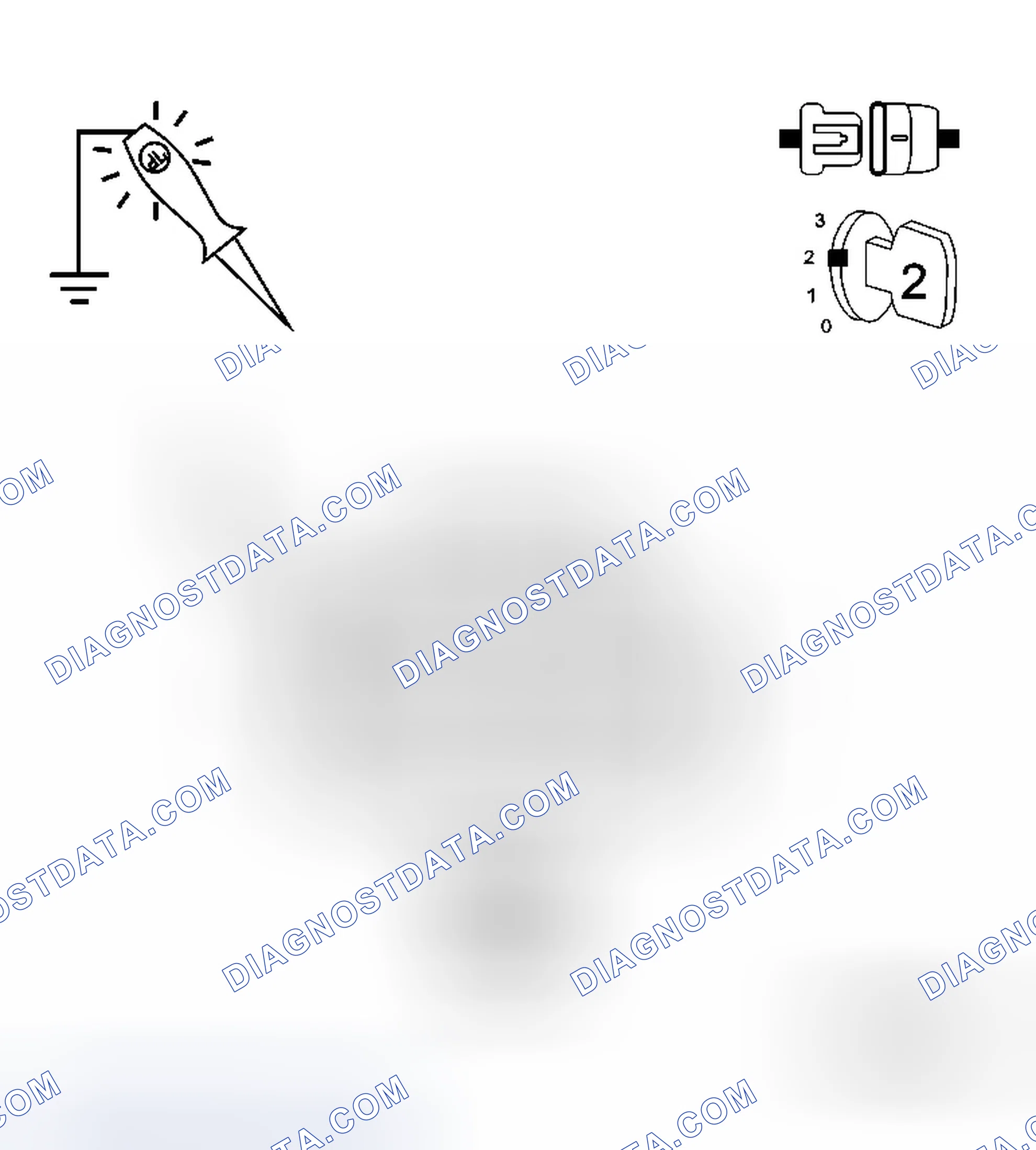 Scheme 20: Diagnostic Test
