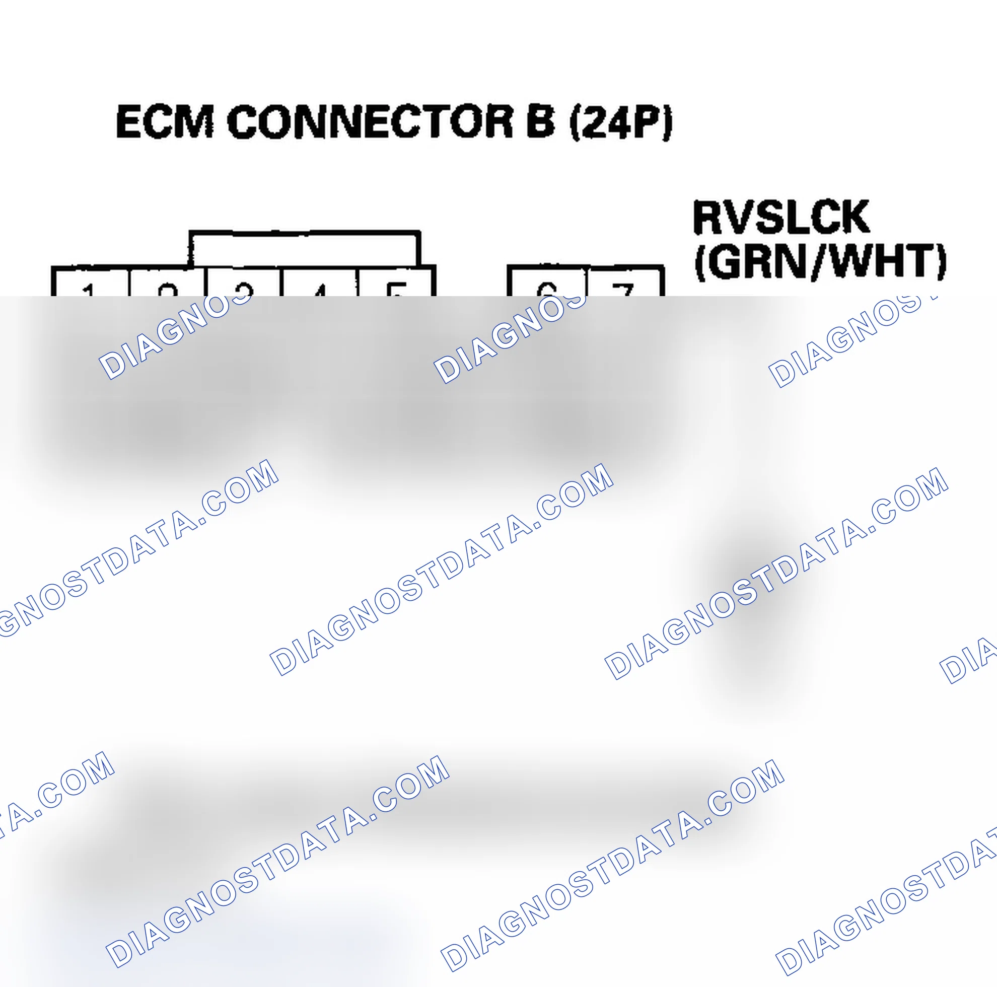 Scheme 207