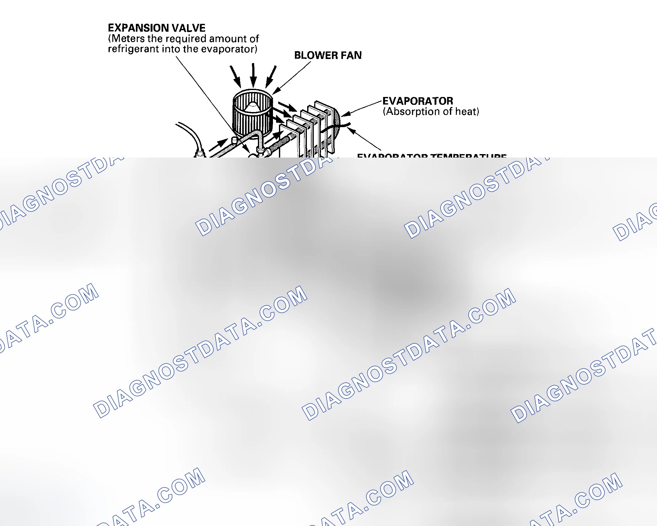 Scheme 5: System Description