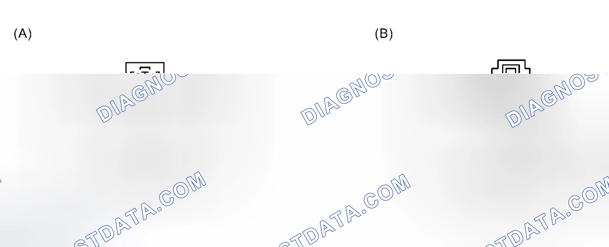 Scheme 32: Back-Up Light Switch (M/T Model)