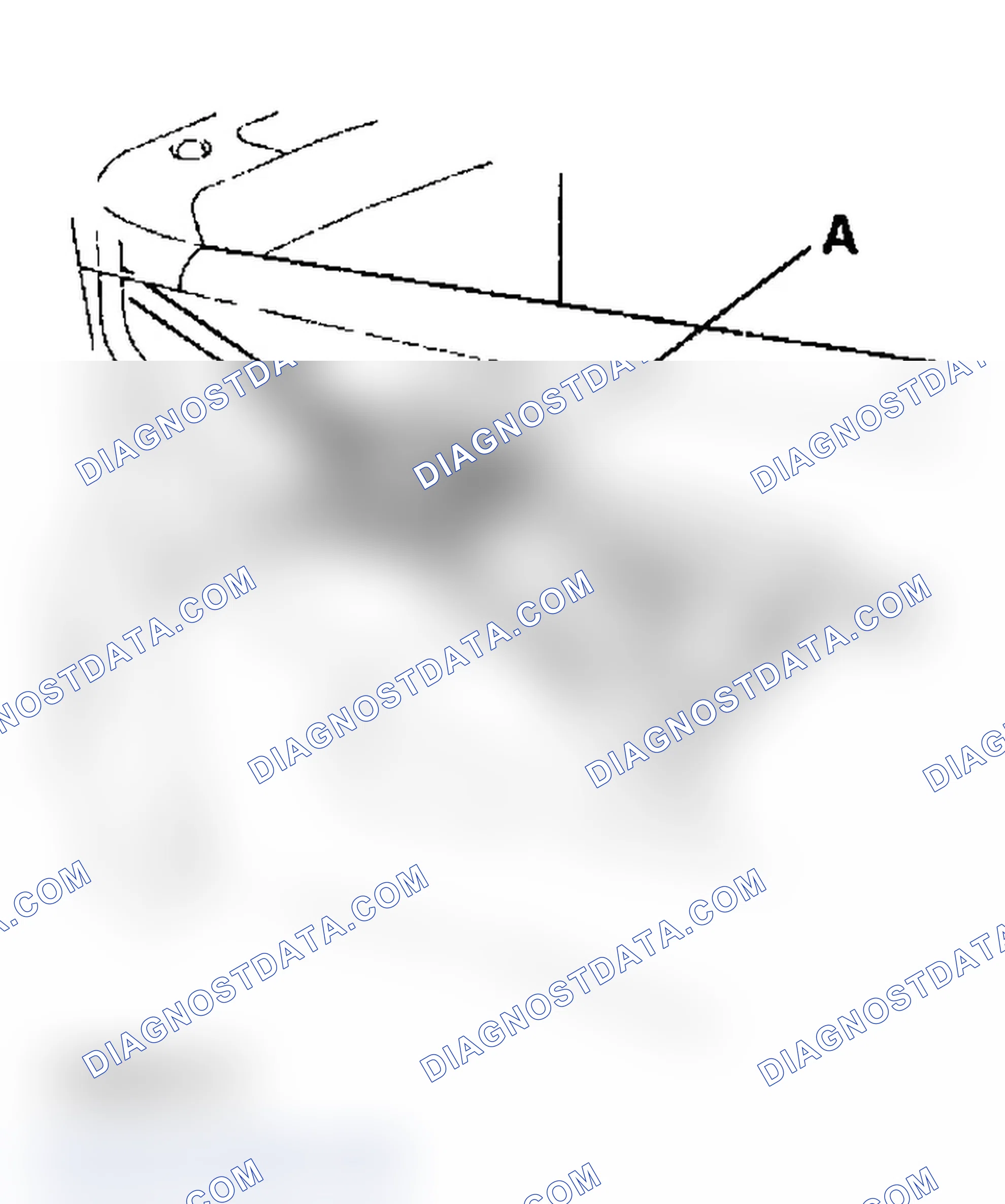 Scheme 9: Major Adjustment (to be done when replacing parking brake shoes and after lining surface break-in)