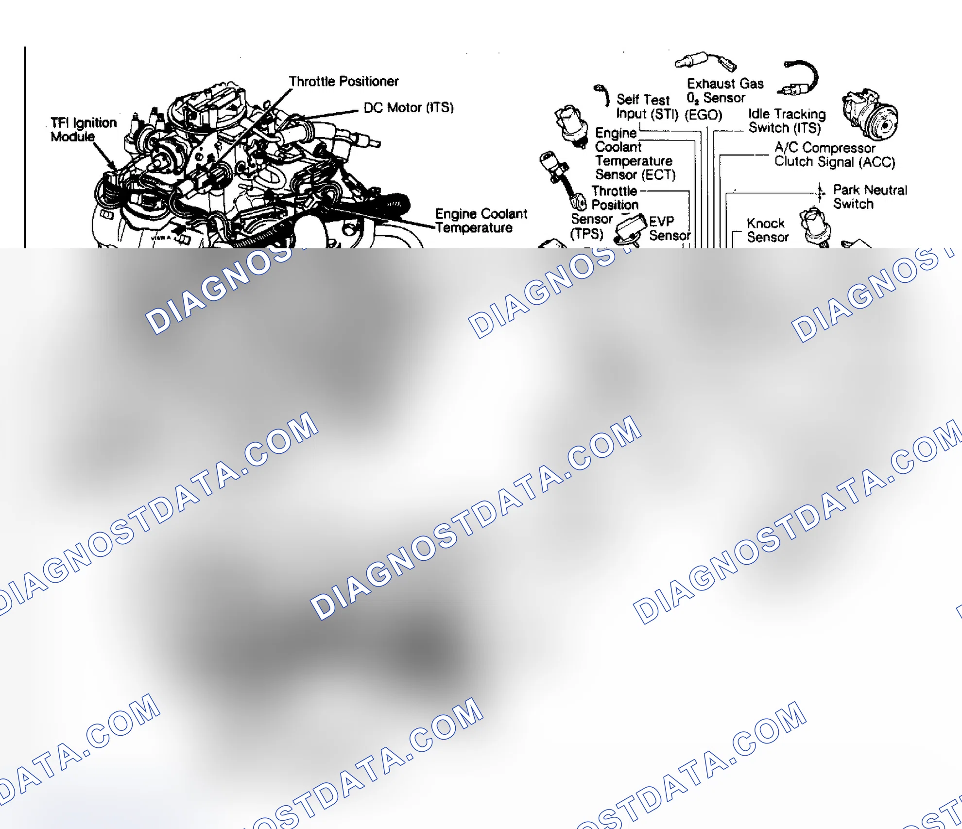 Scheme 76: 2.8L FBC EEC-IV System Inputs/Outputs & Component Locations