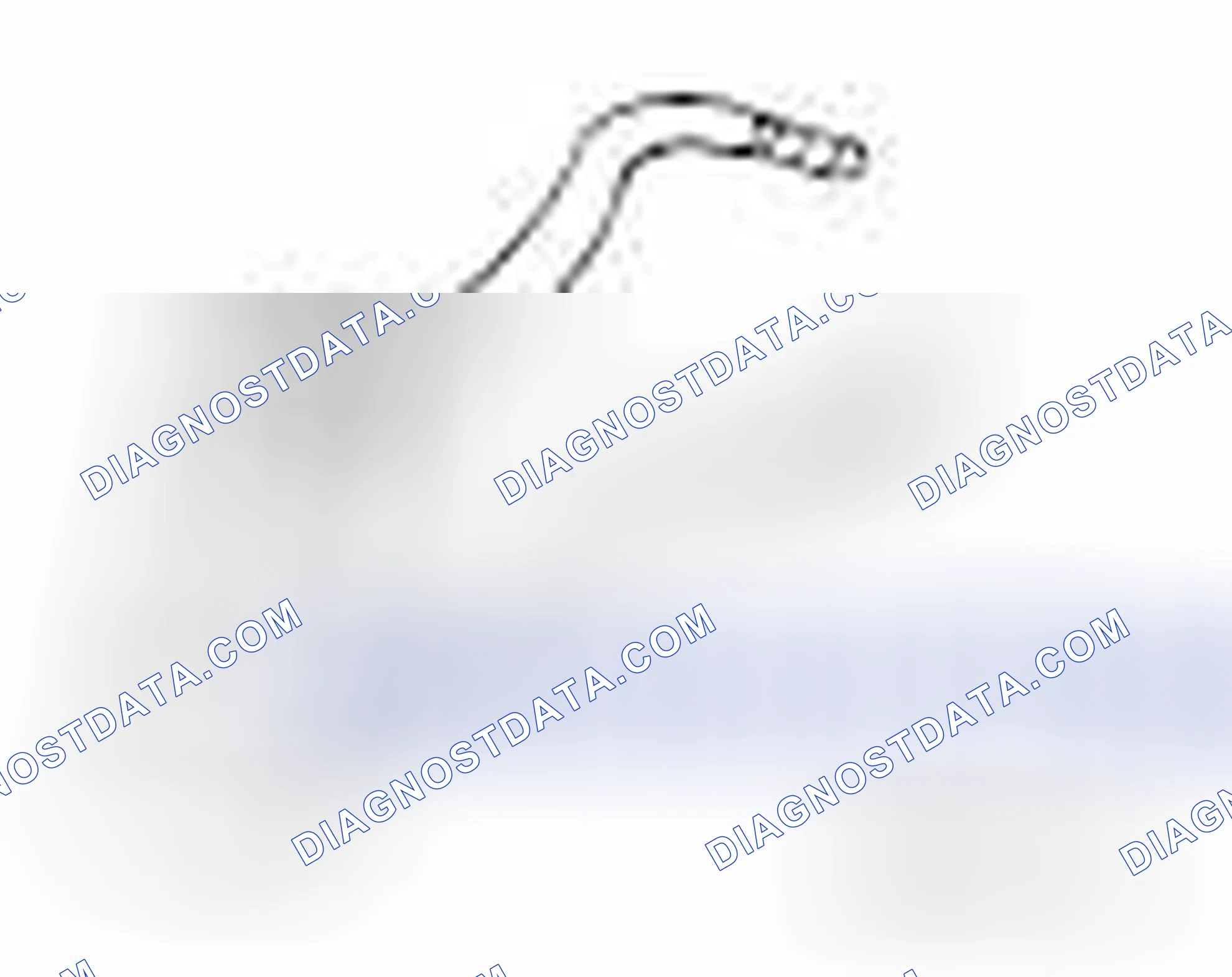 Scheme 12: SPECIAL TOOLS