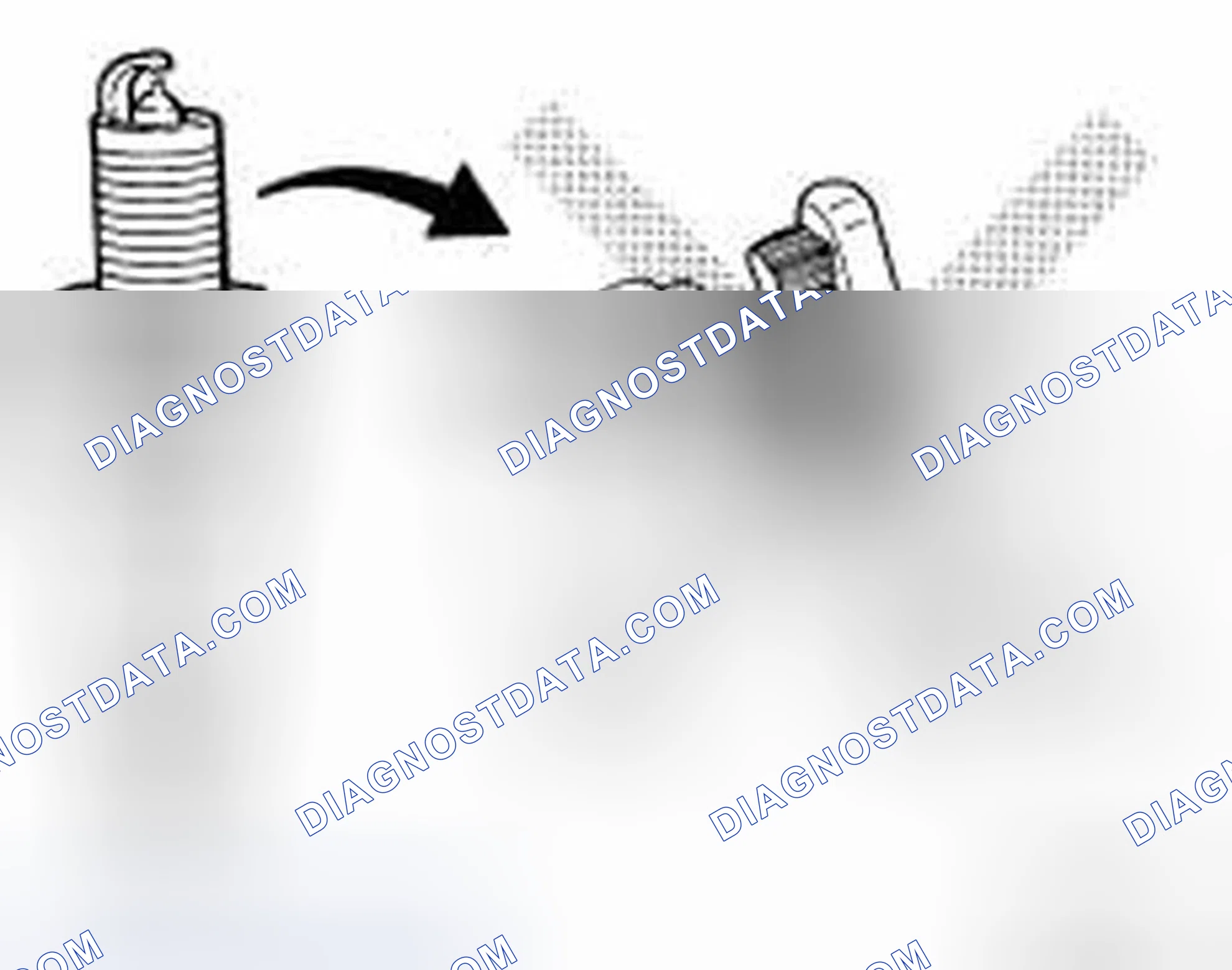 Scheme 22: INSPECTION AFTER REMOVAL