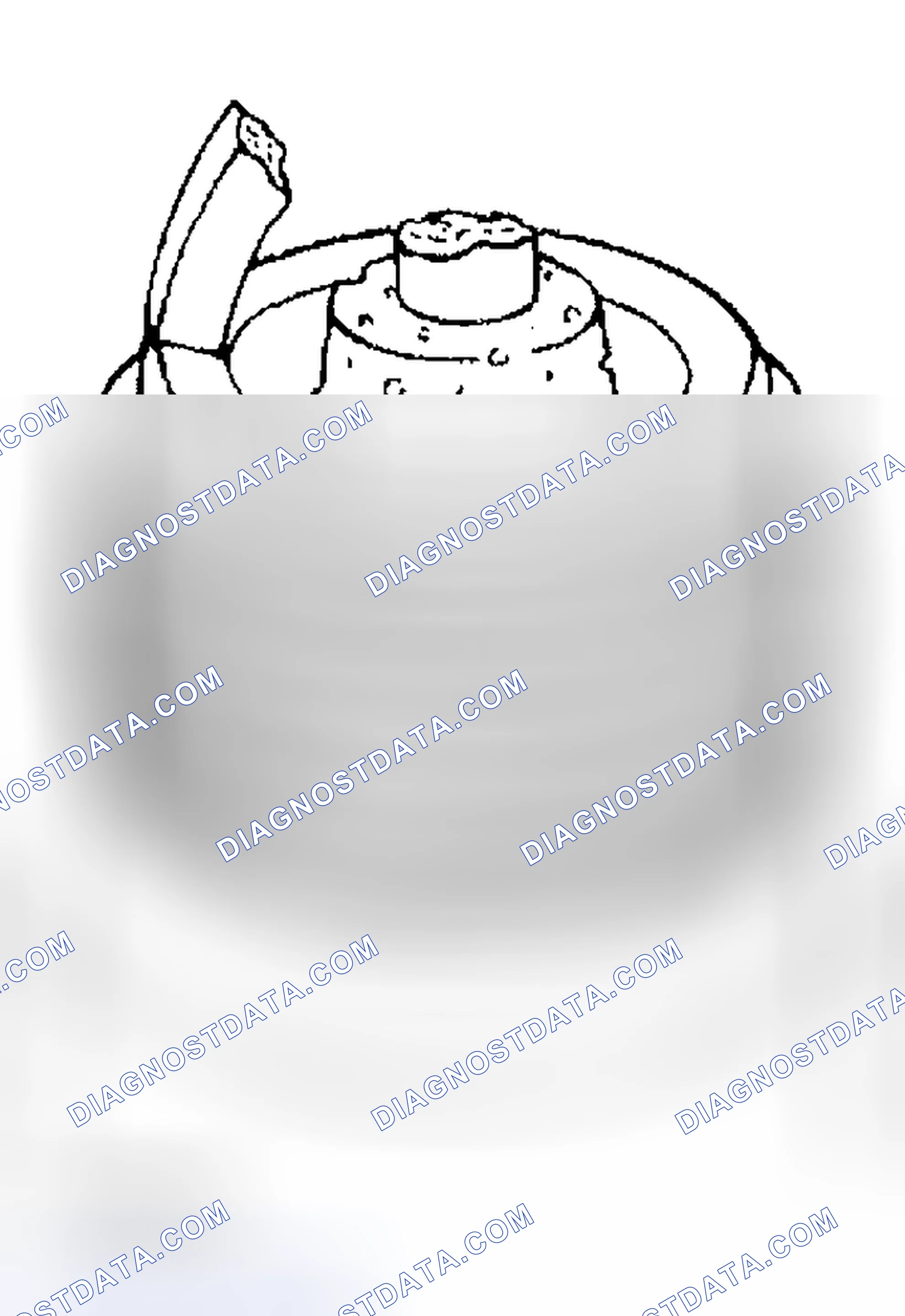 Scheme 79