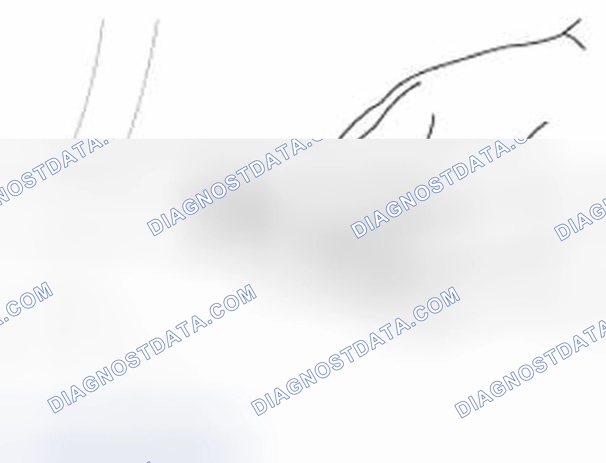 Scheme 435: Inspection