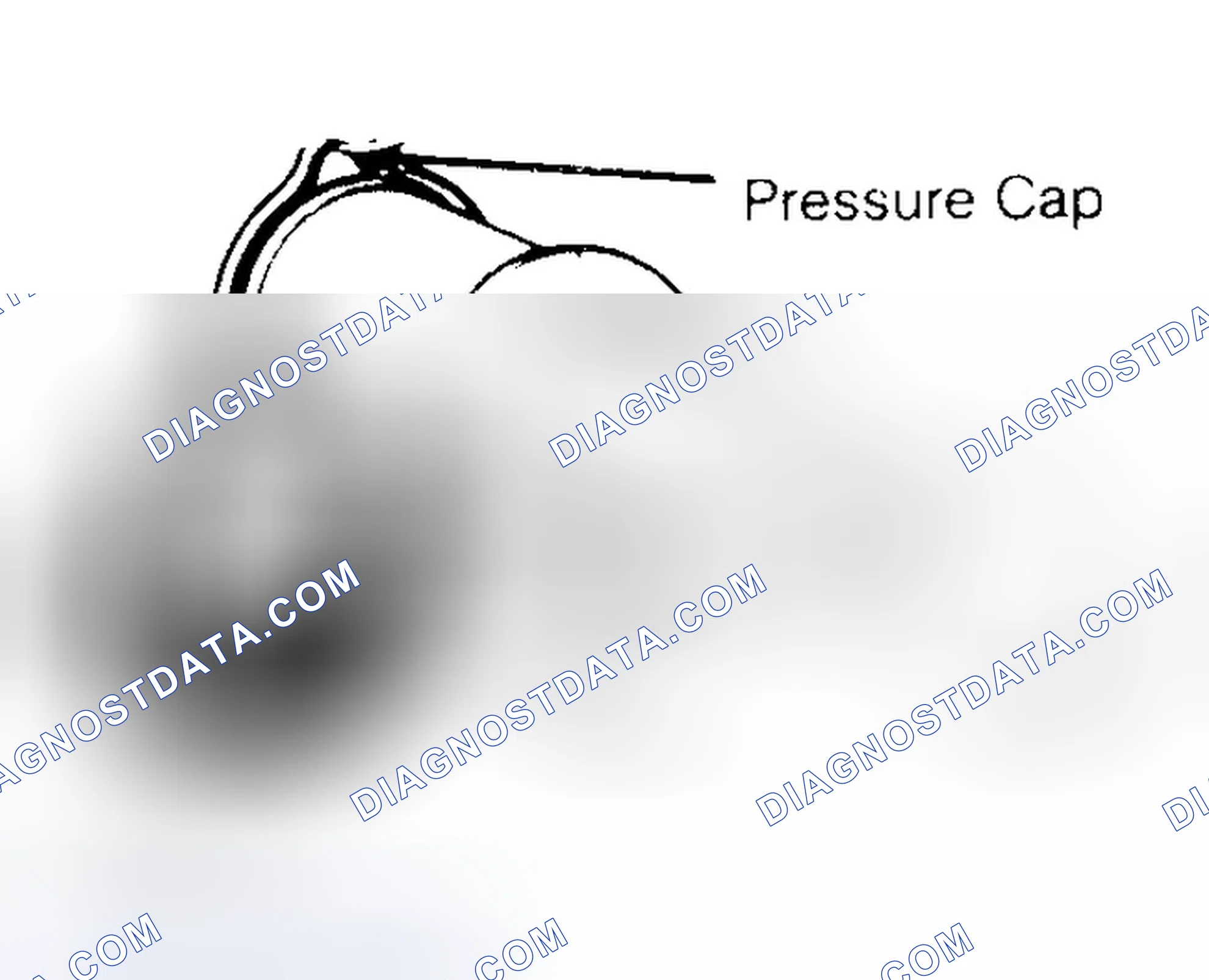 Scheme 2: Pressure Testing Radiator Cap