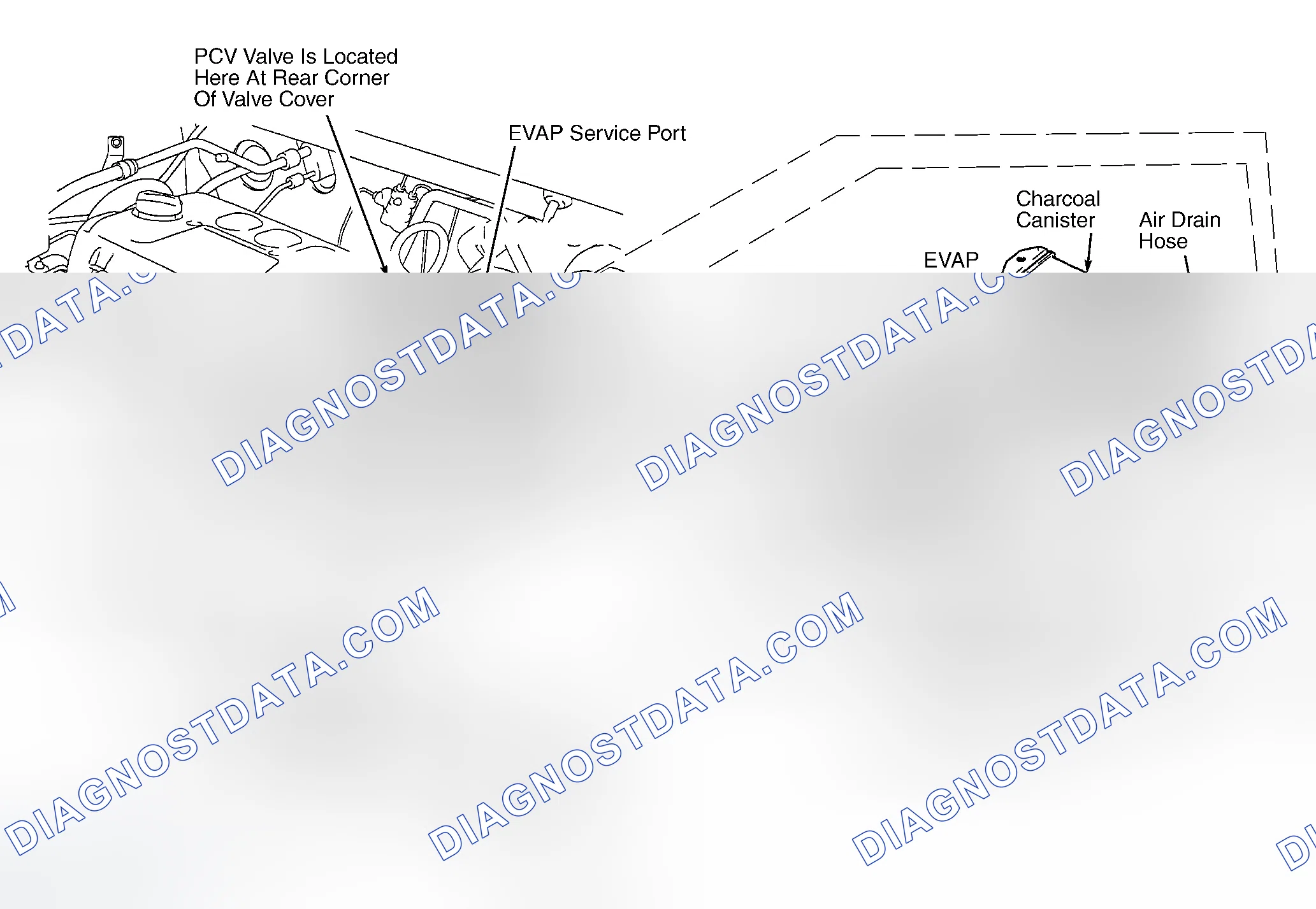 Scheme 260