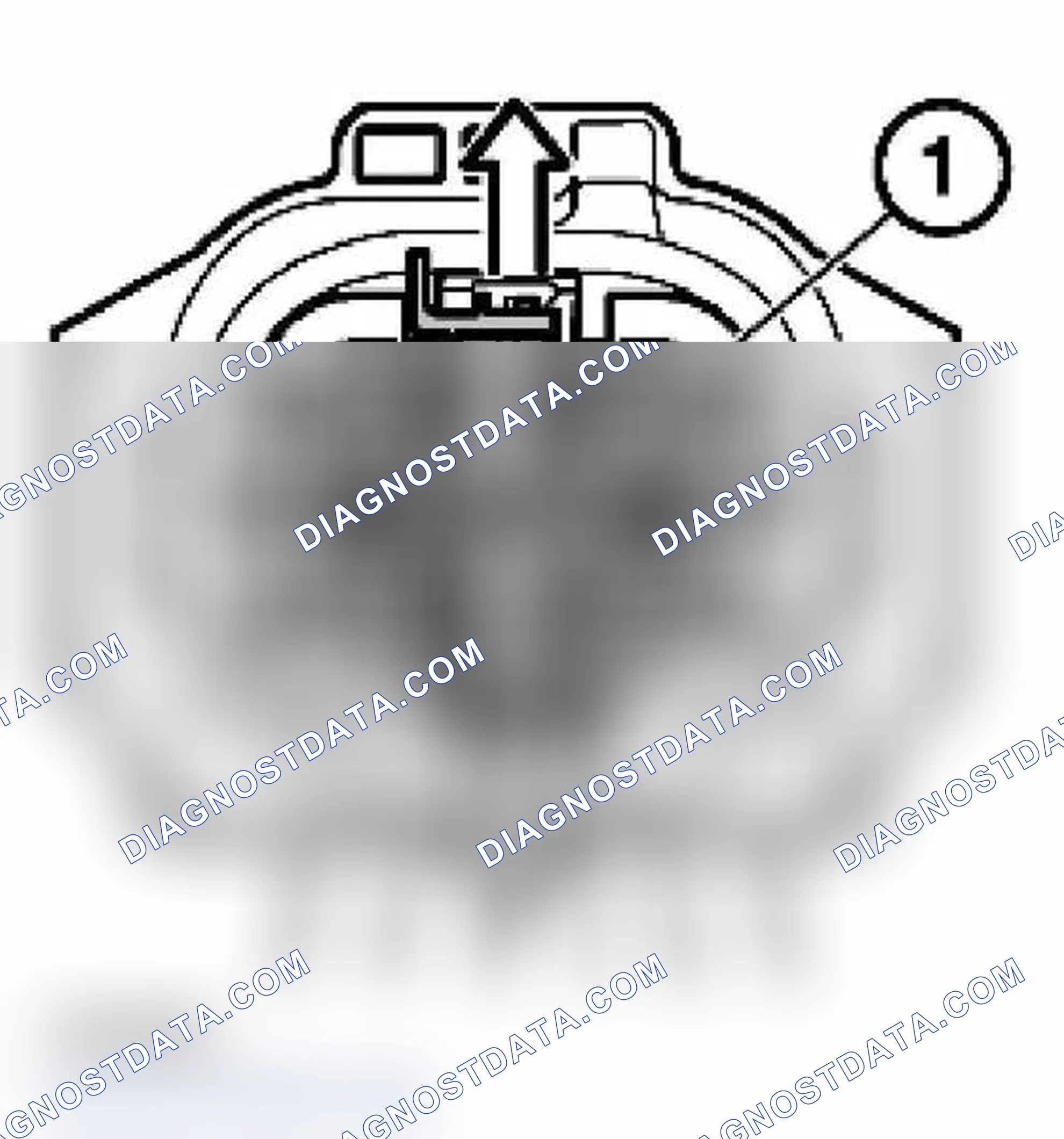 Scheme 118