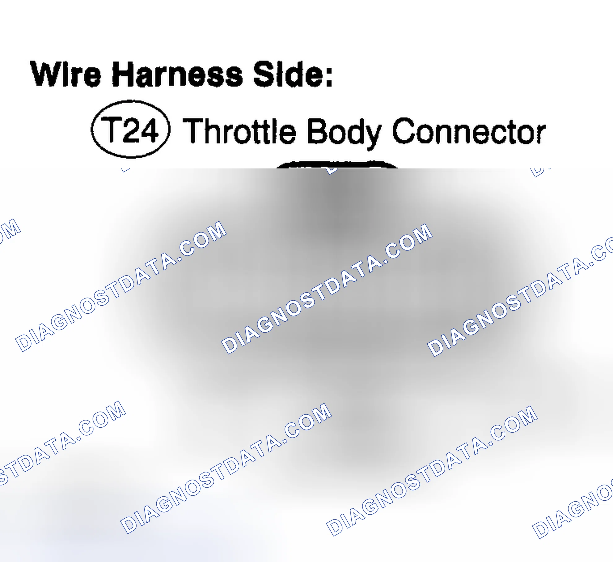 Scheme 177