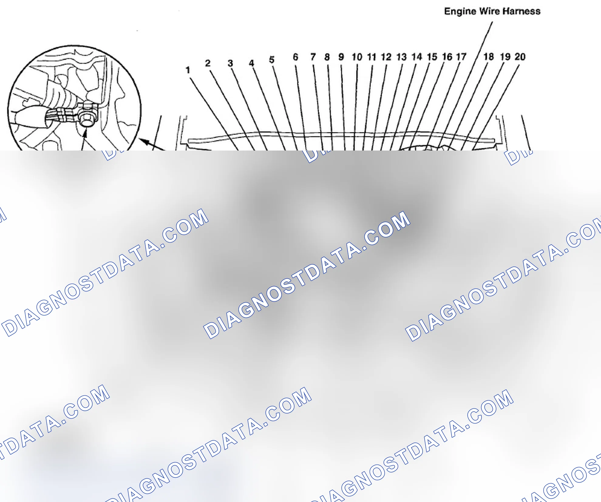 Scheme 512: Identifying Engine Wire Harness And Knock Sensor Sub-Harness (Page 203-7)