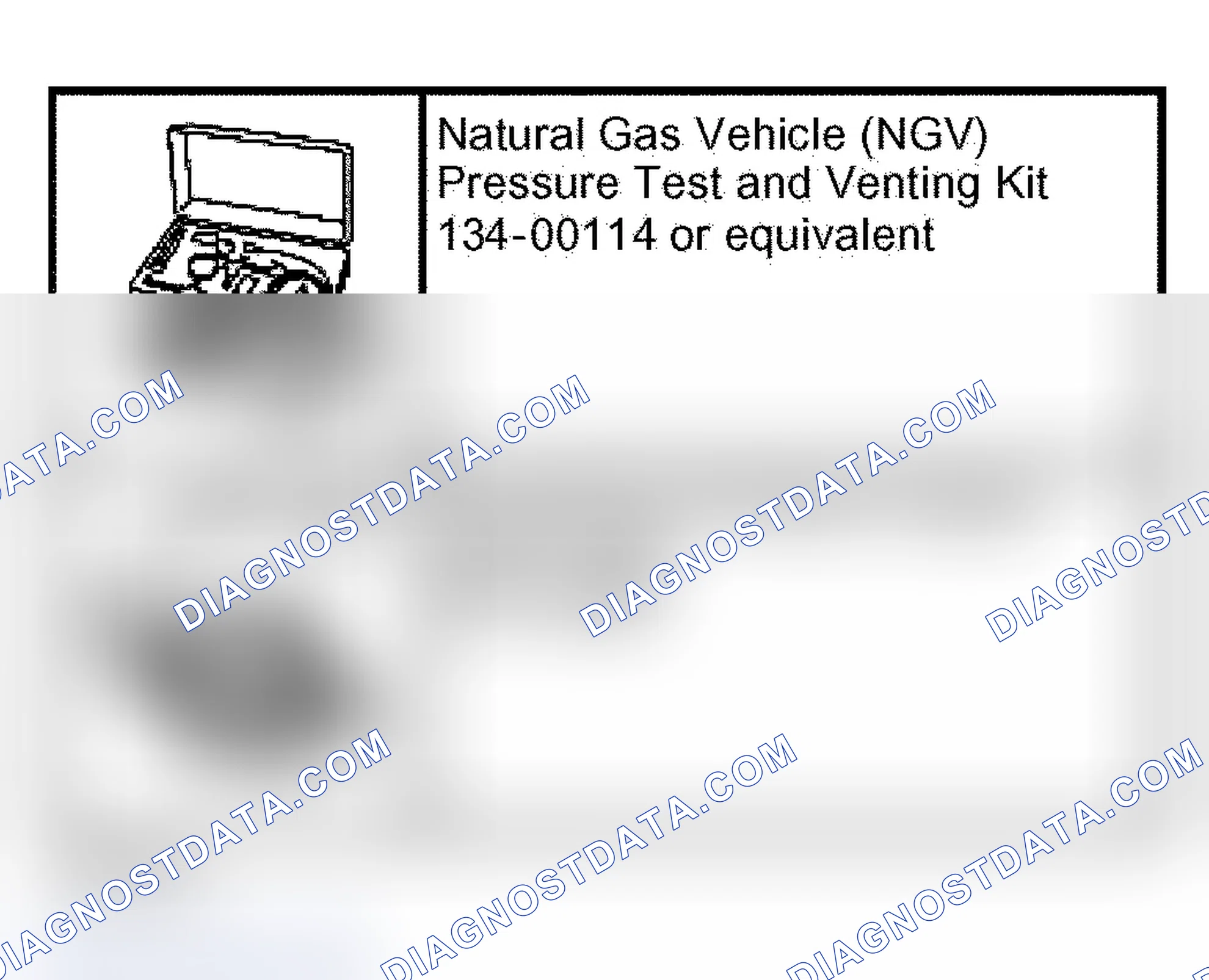 Scheme 171: Leak Test