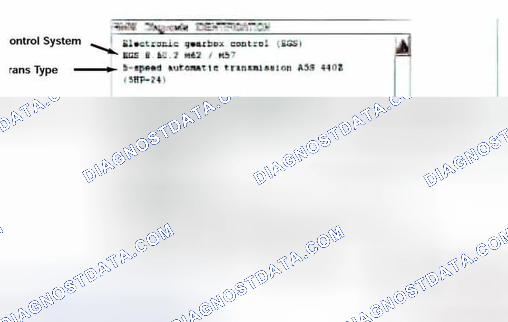 Scheme 61: Identification Page
