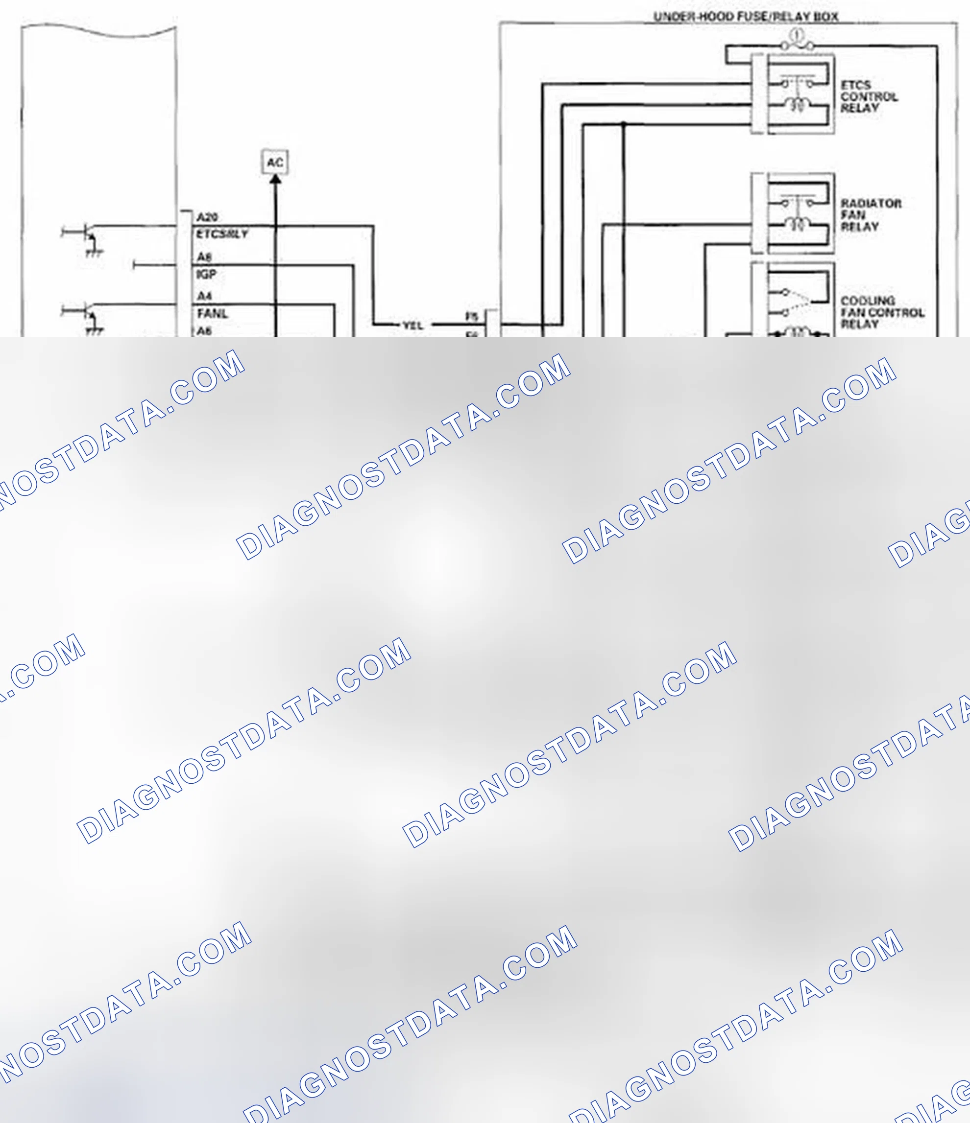 Scheme 921
