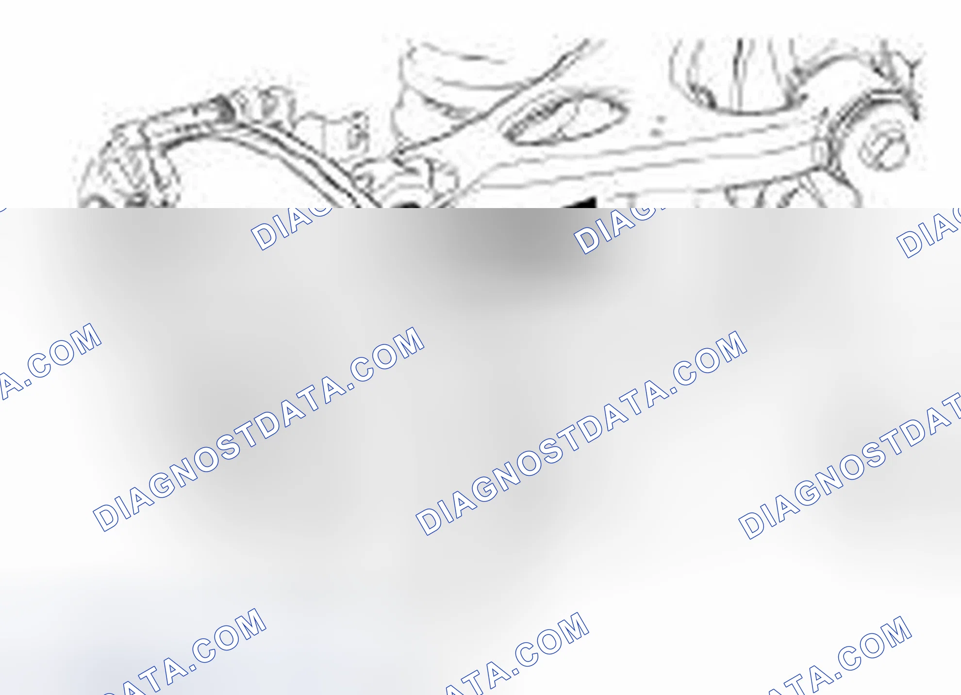 Scheme 3: Camber Adjustment - Rear