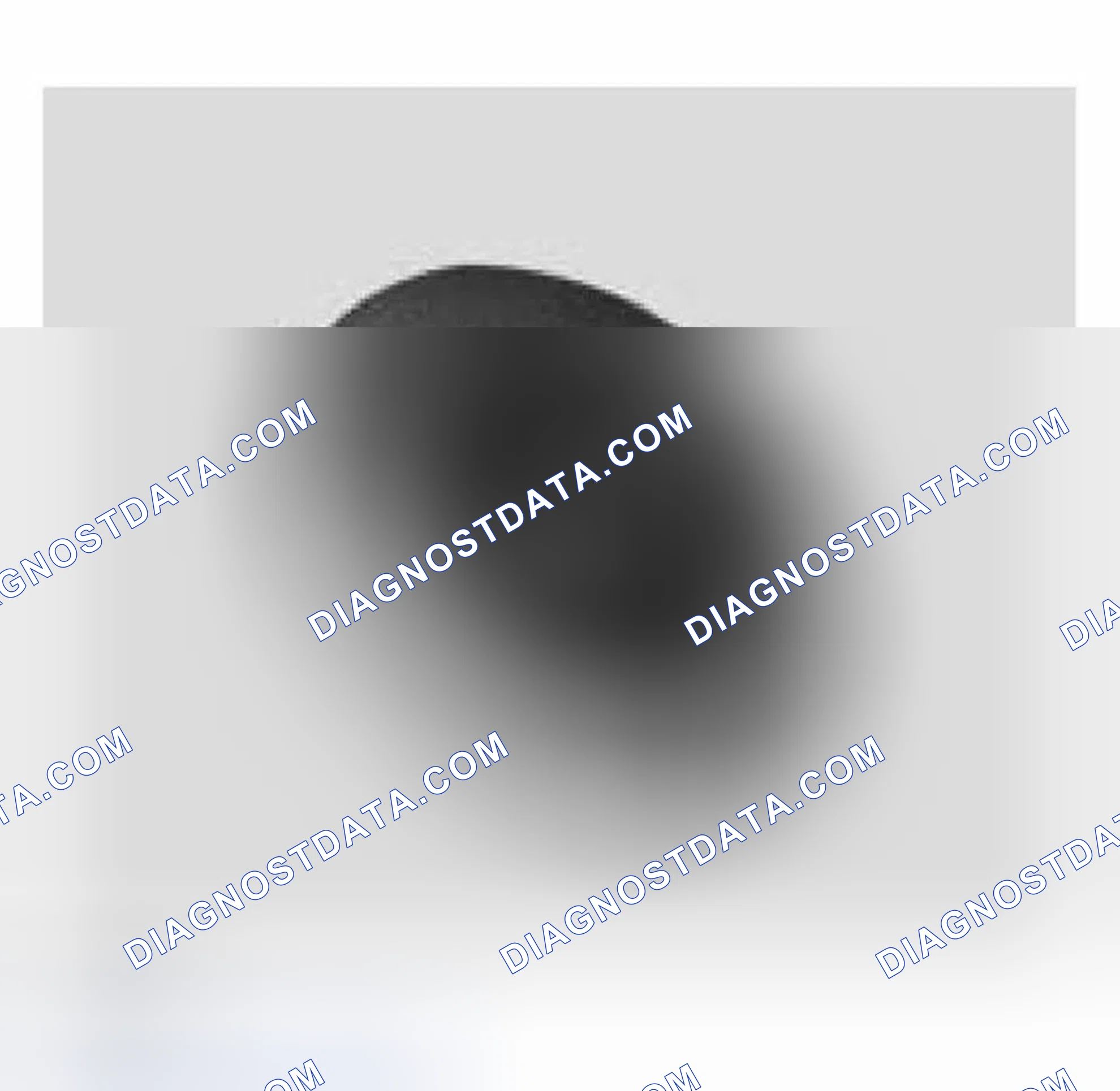 Scheme 22: Airbag Indicator Lamp