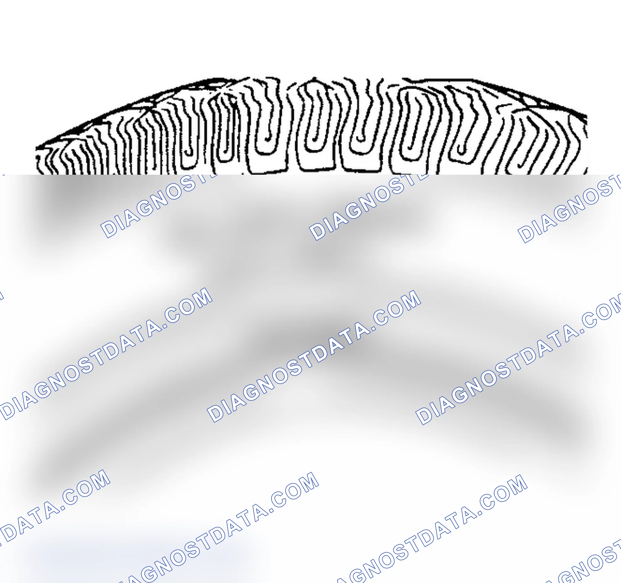 Scheme 3: All Seasons Tires Description