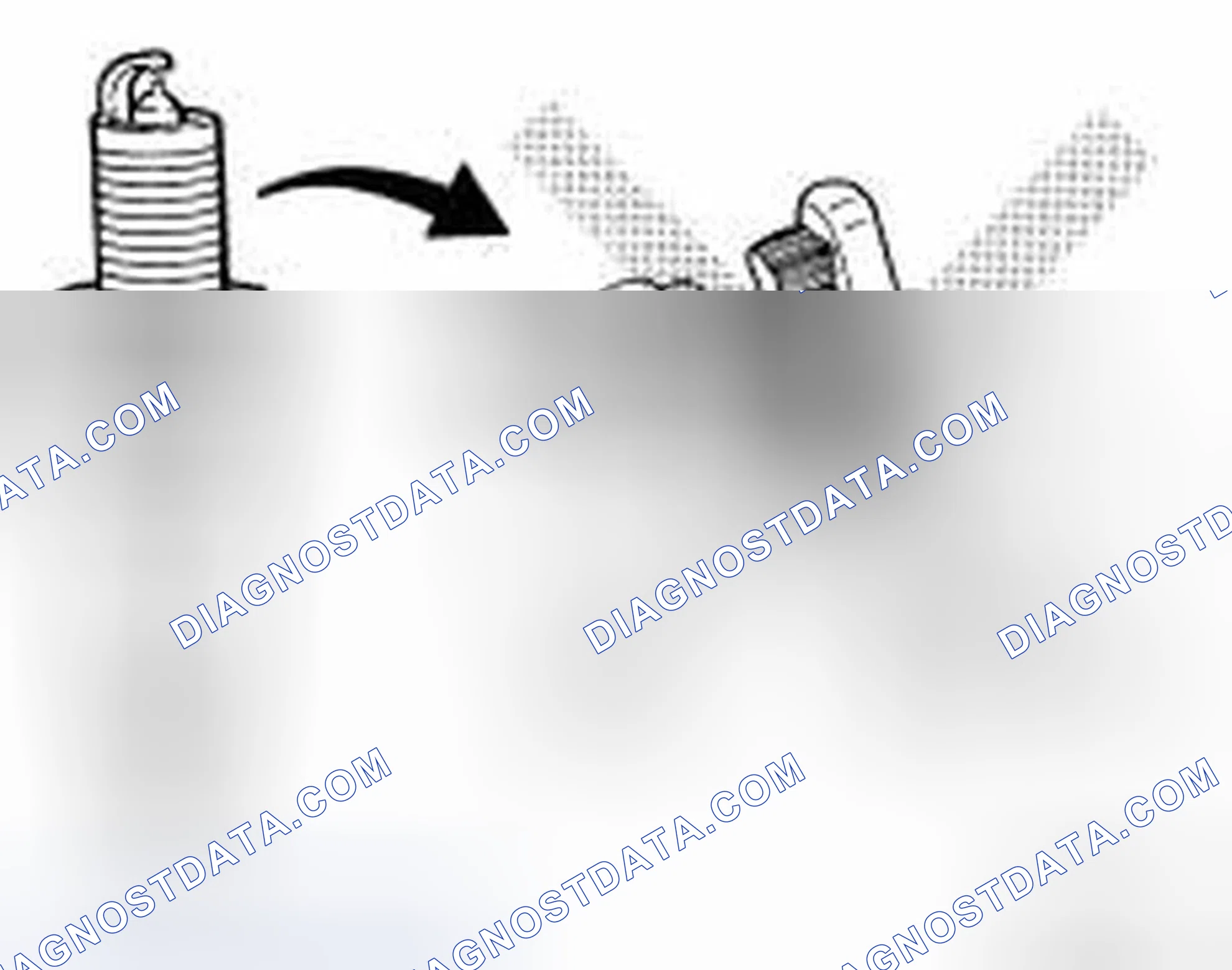 Scheme 2: INSPECTION AFTER REMOVAL