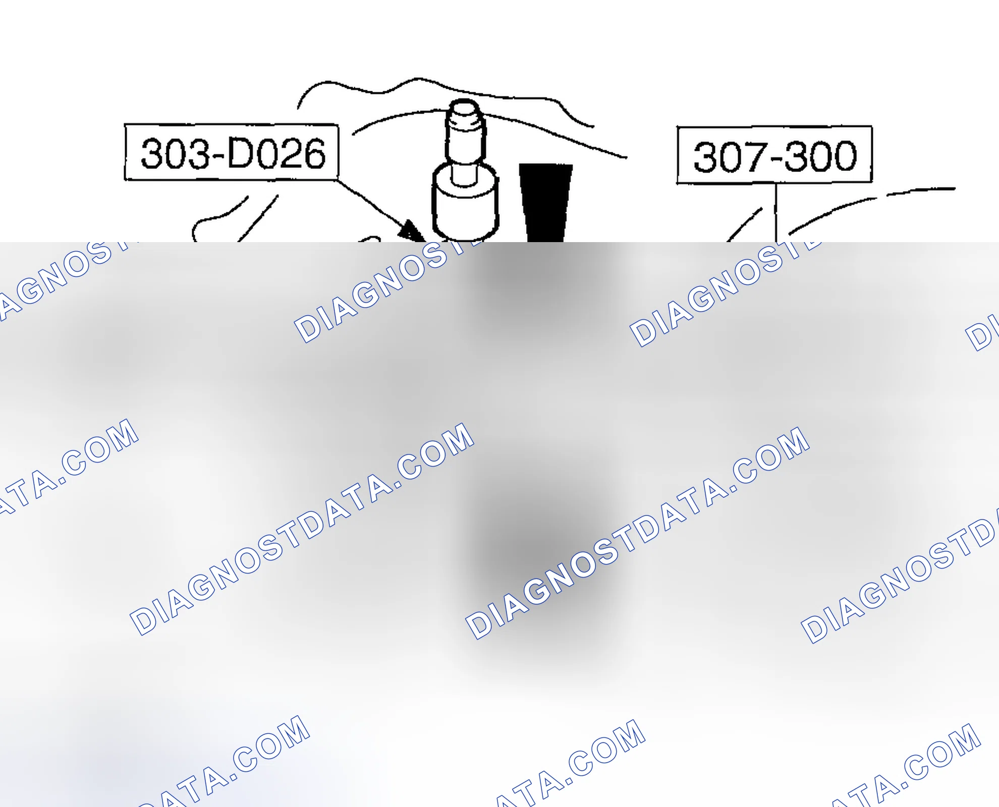 Scheme 307