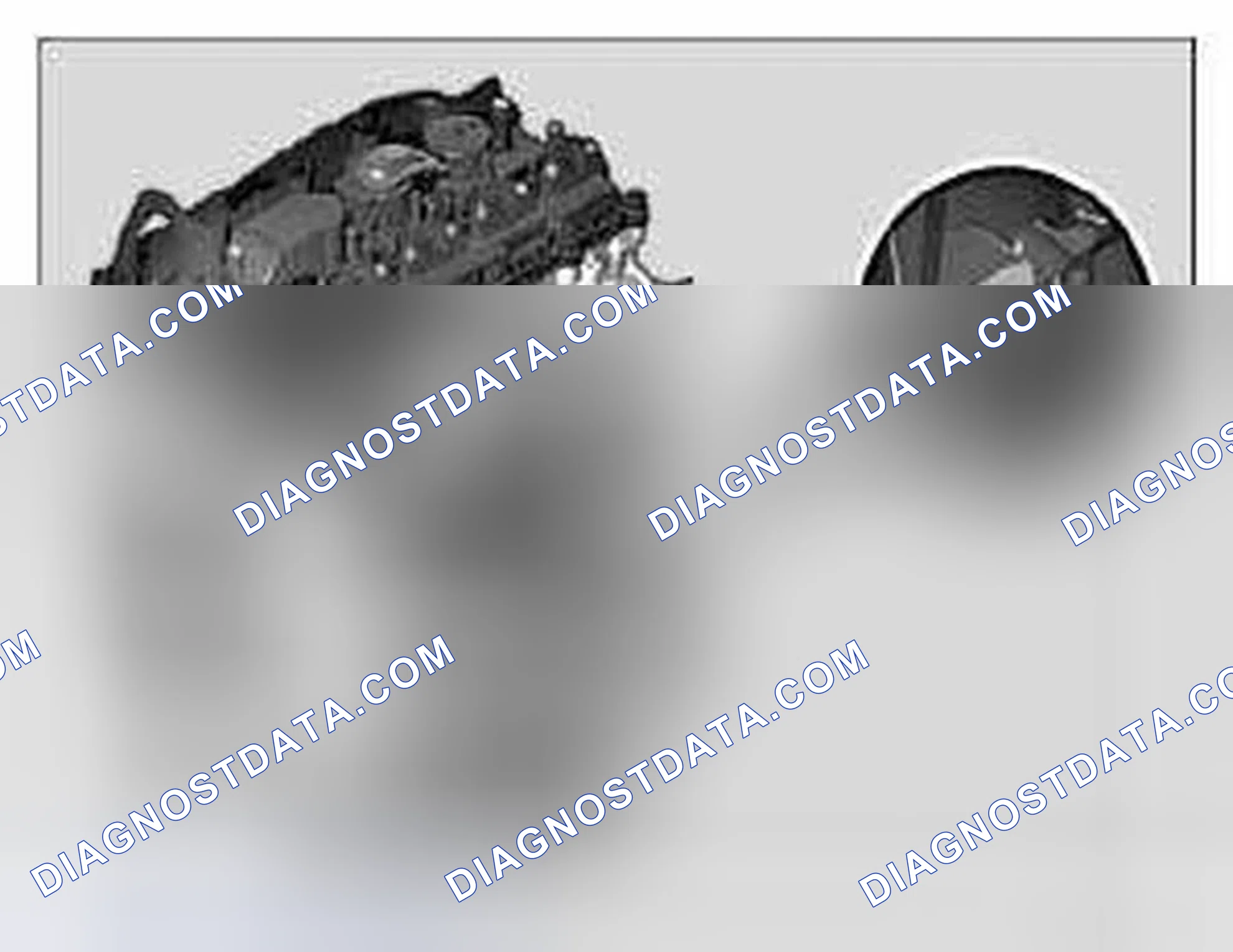 Scheme 23: Engine identification