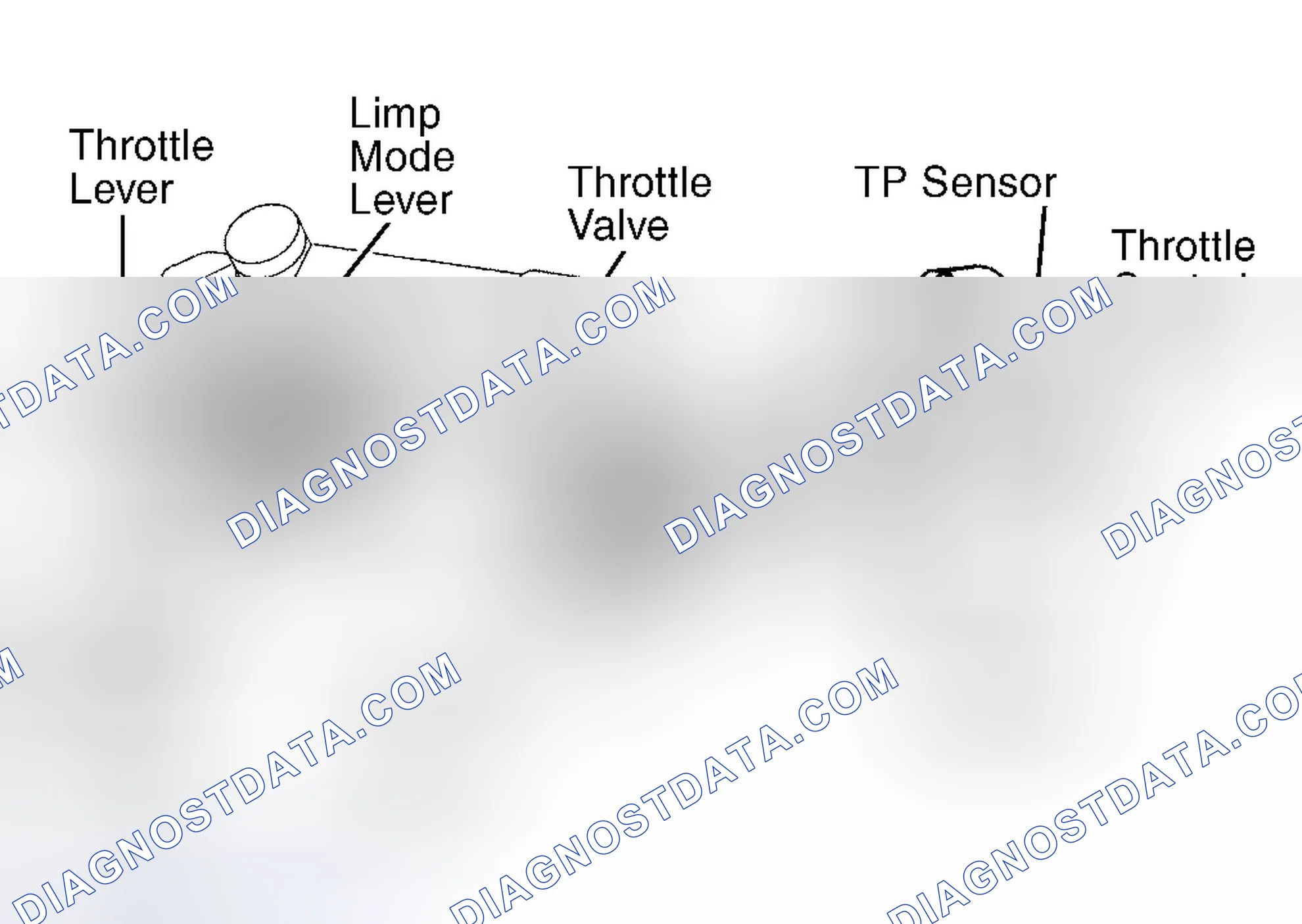 Scheme 6: Land Cruiser, Sequoia & Tundra 4.7L V8