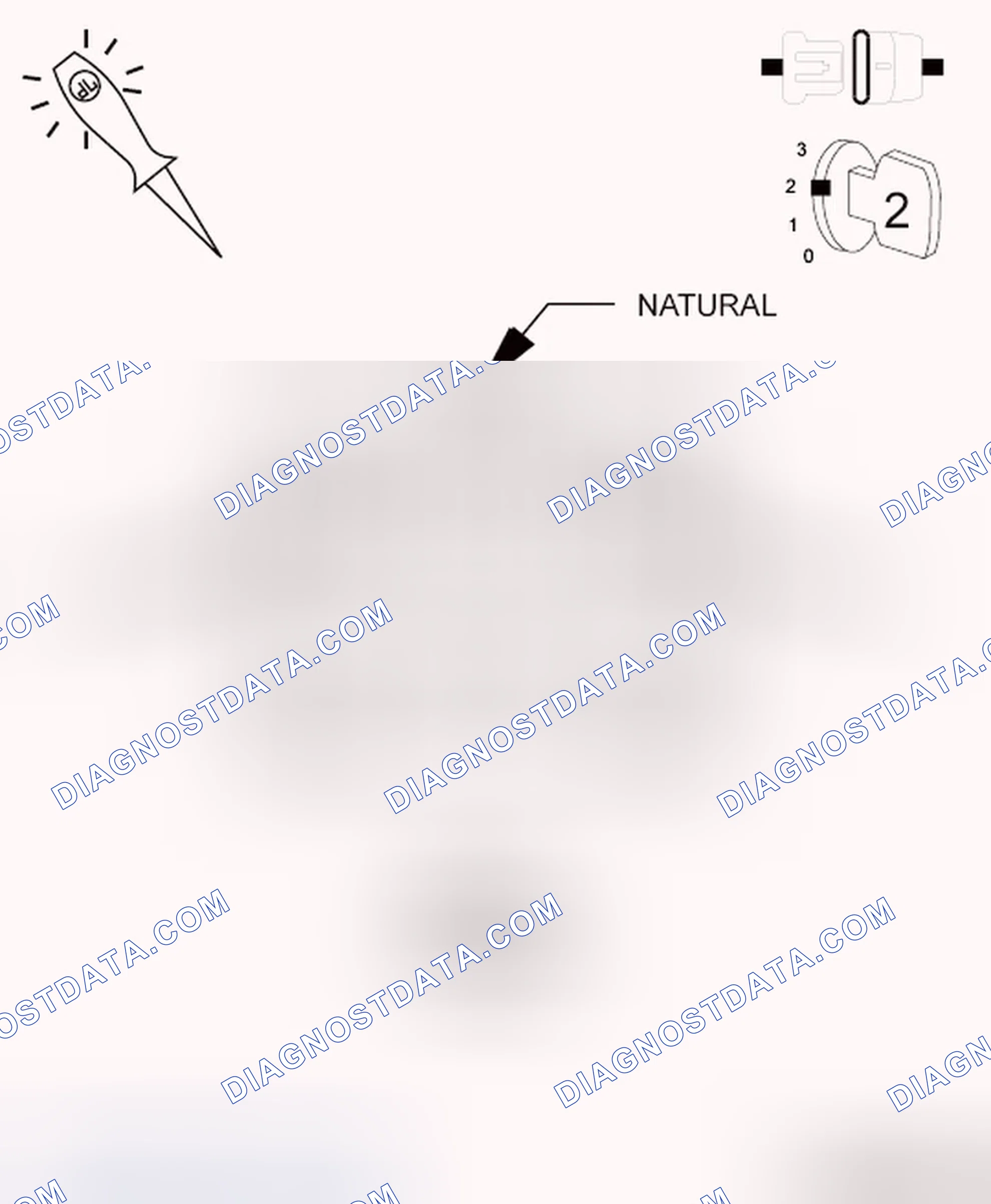 Scheme 201: Diagnostic Test