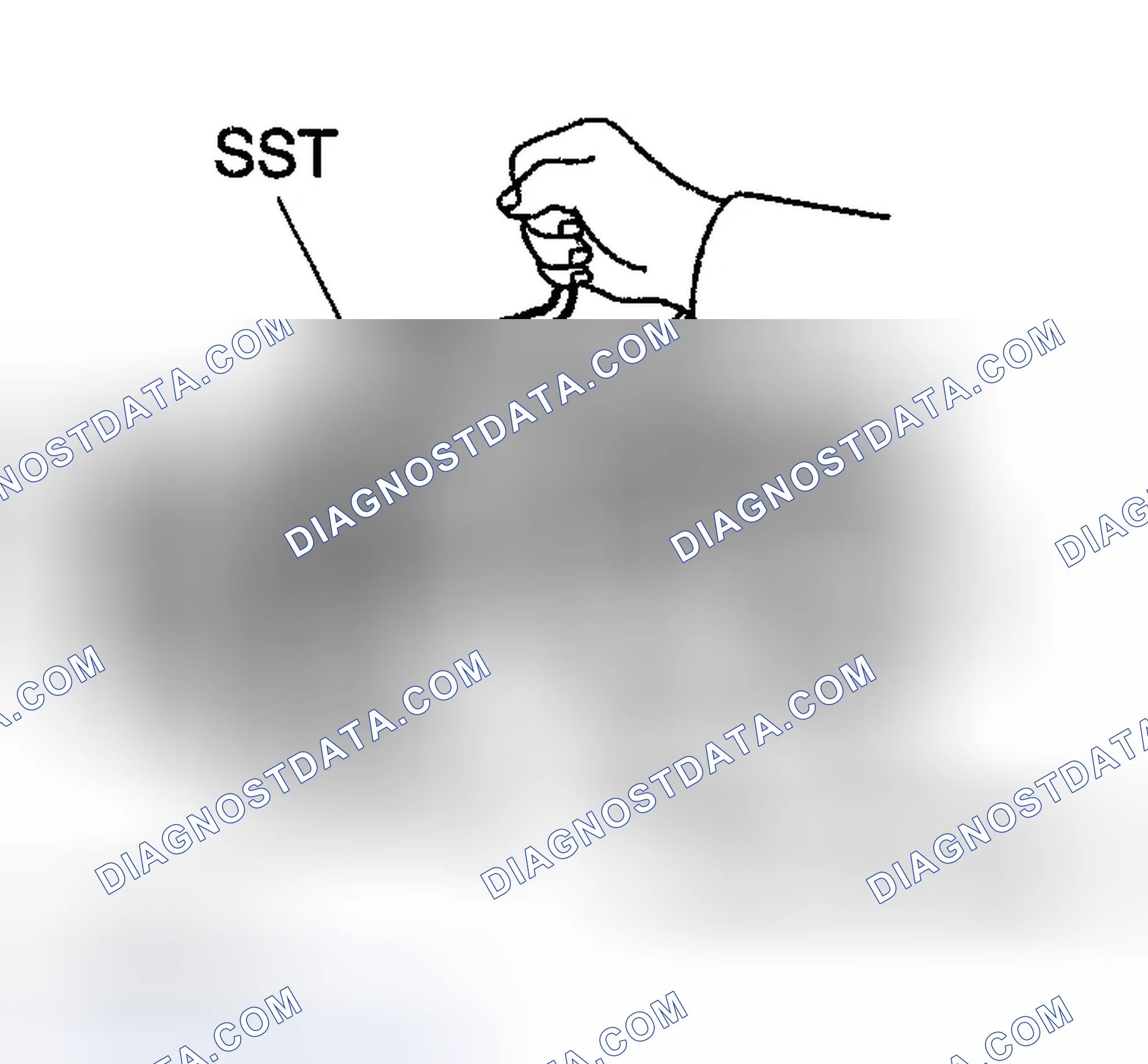 Scheme 312